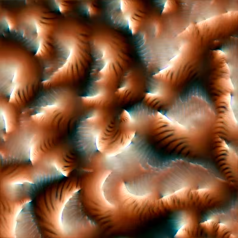 Genomes