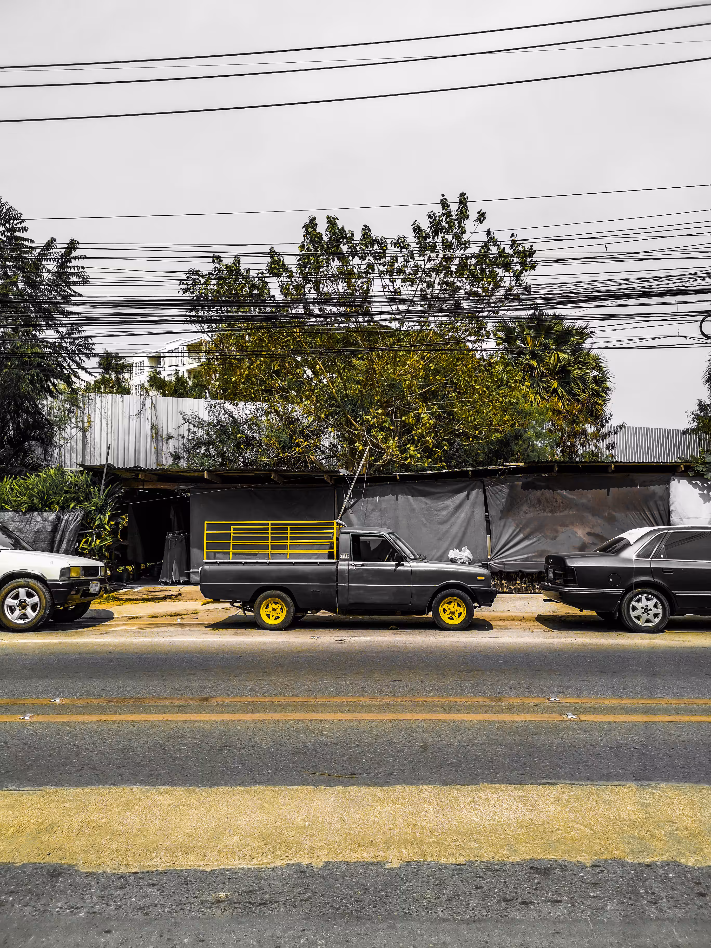 Black and yellow. 