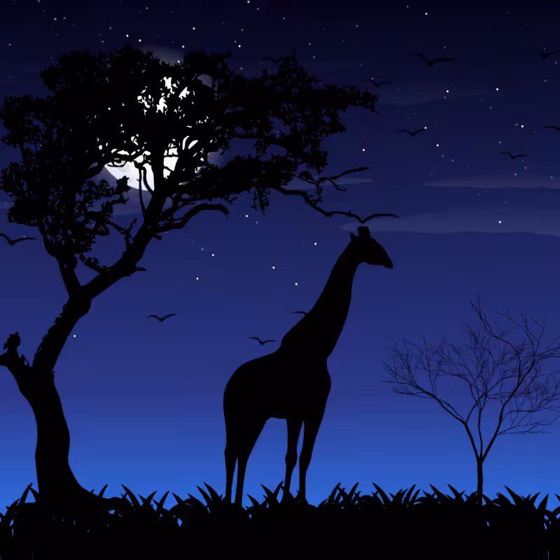 We Care... Giraffe #1
