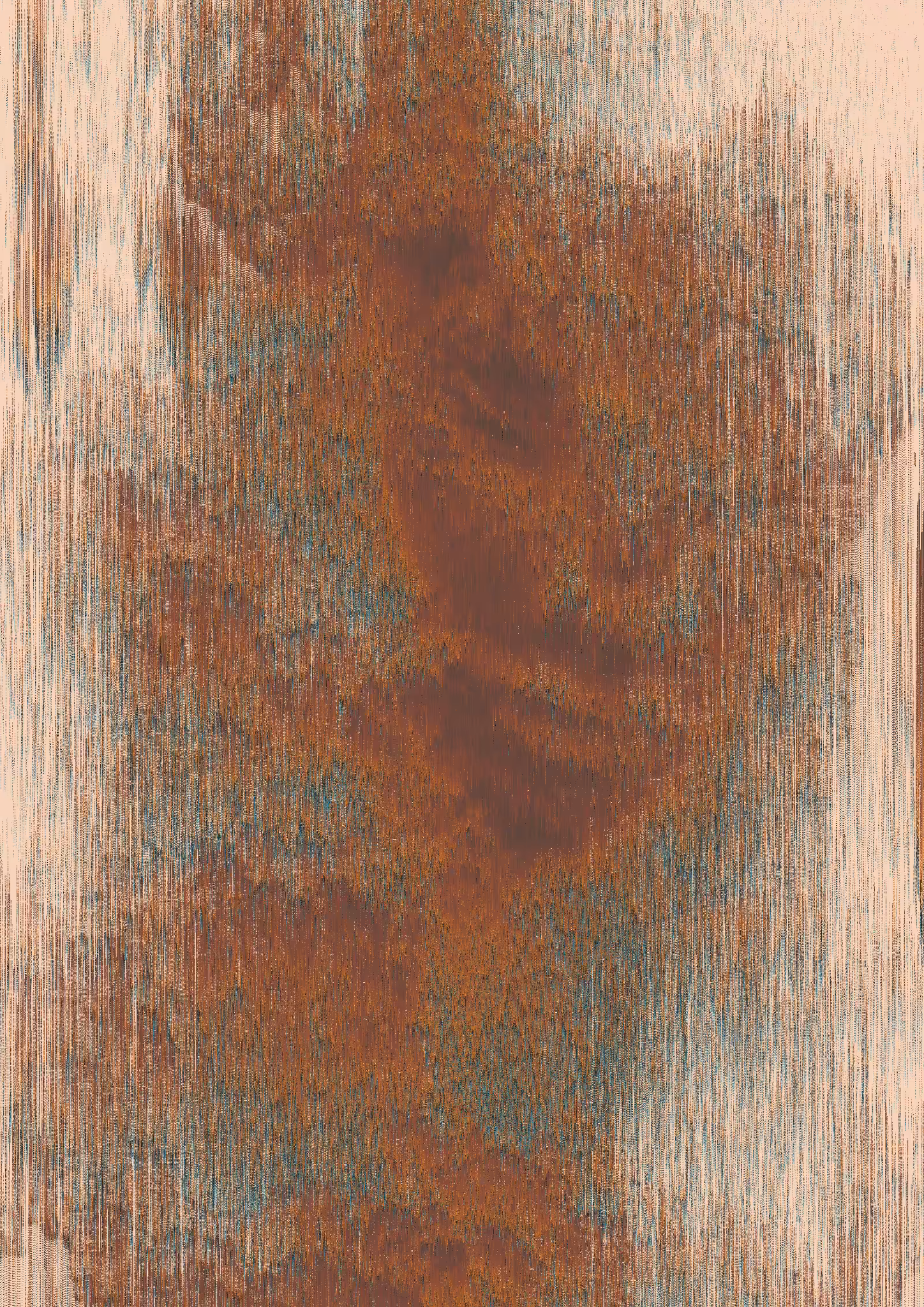 #11