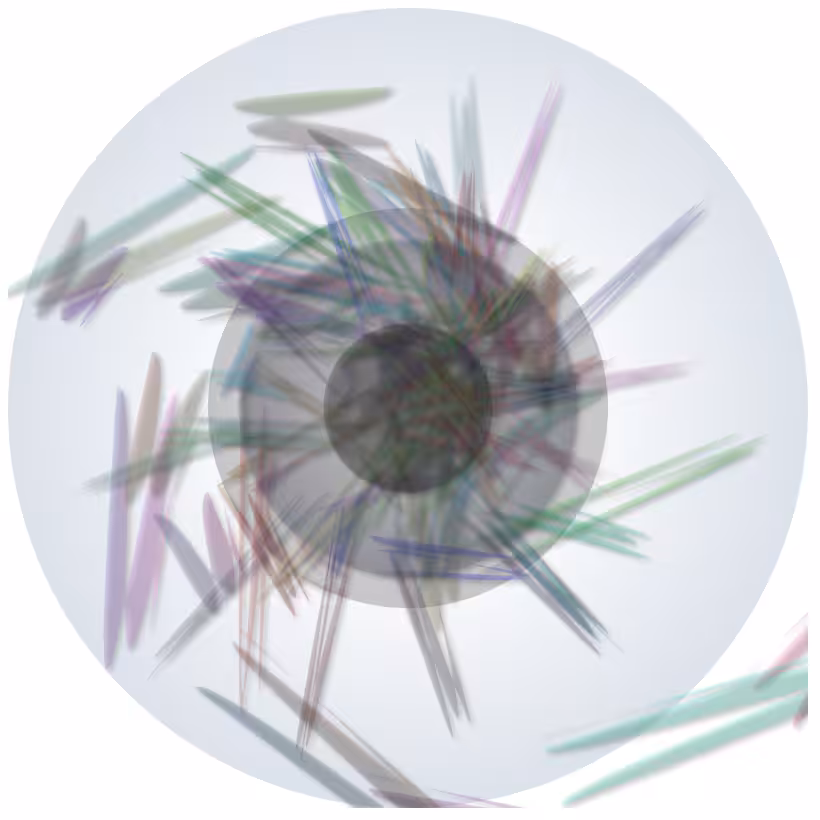 Iris 2 #33