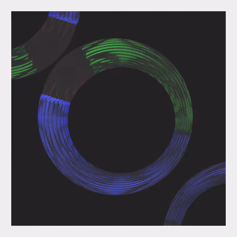 connexio #40