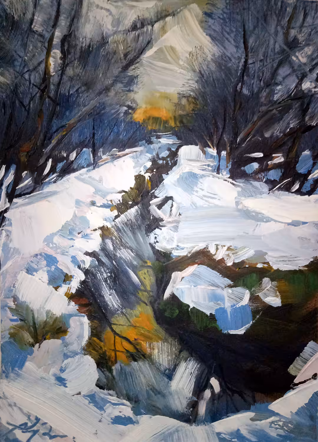 Winter on the slopes