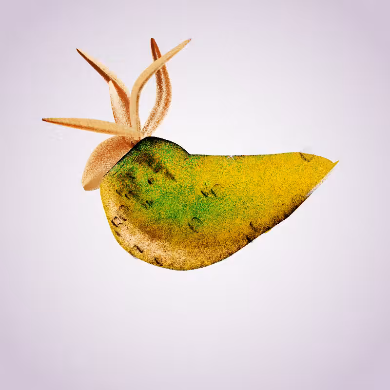 Fresh Fruit #44
