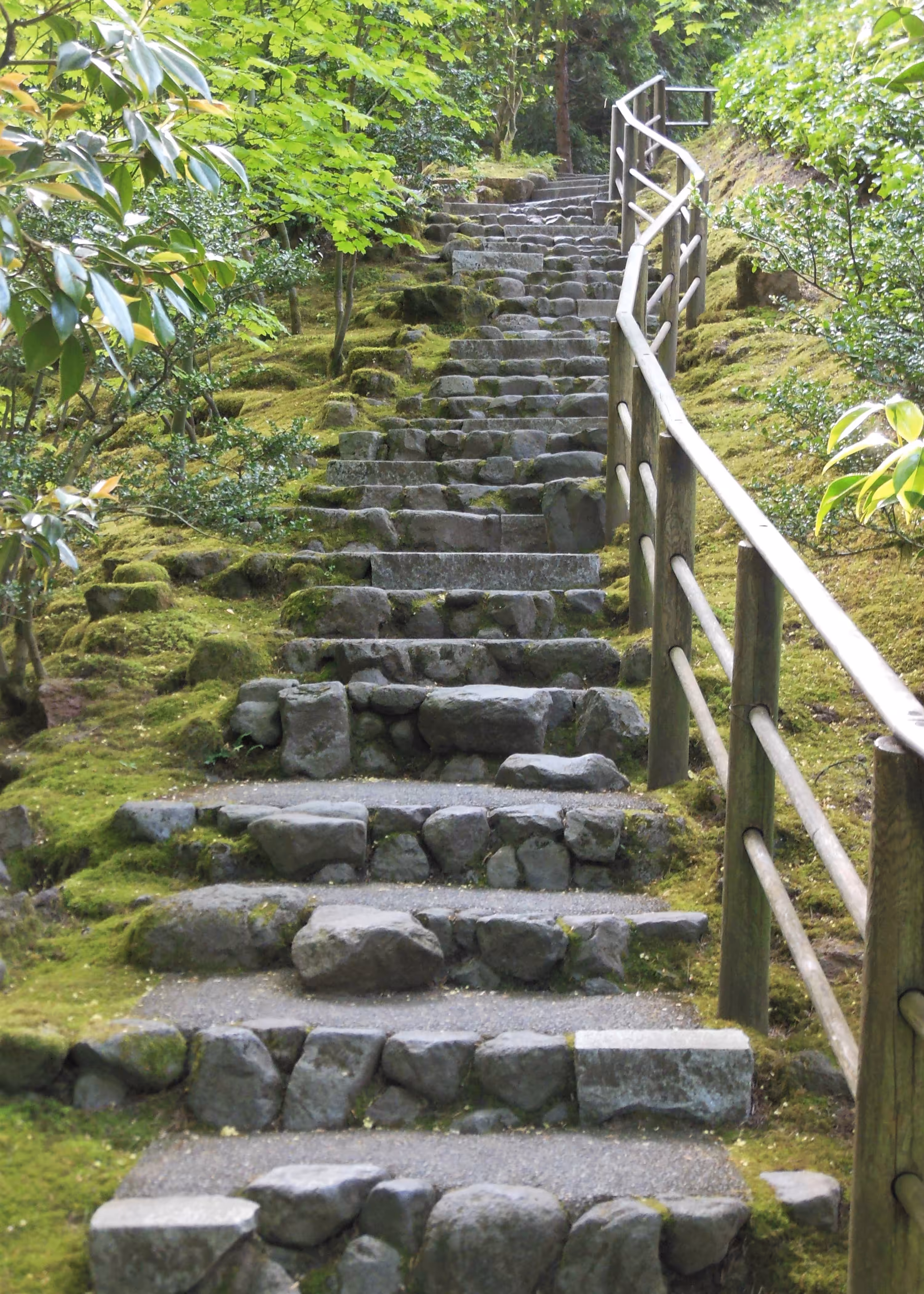 Ascending 5