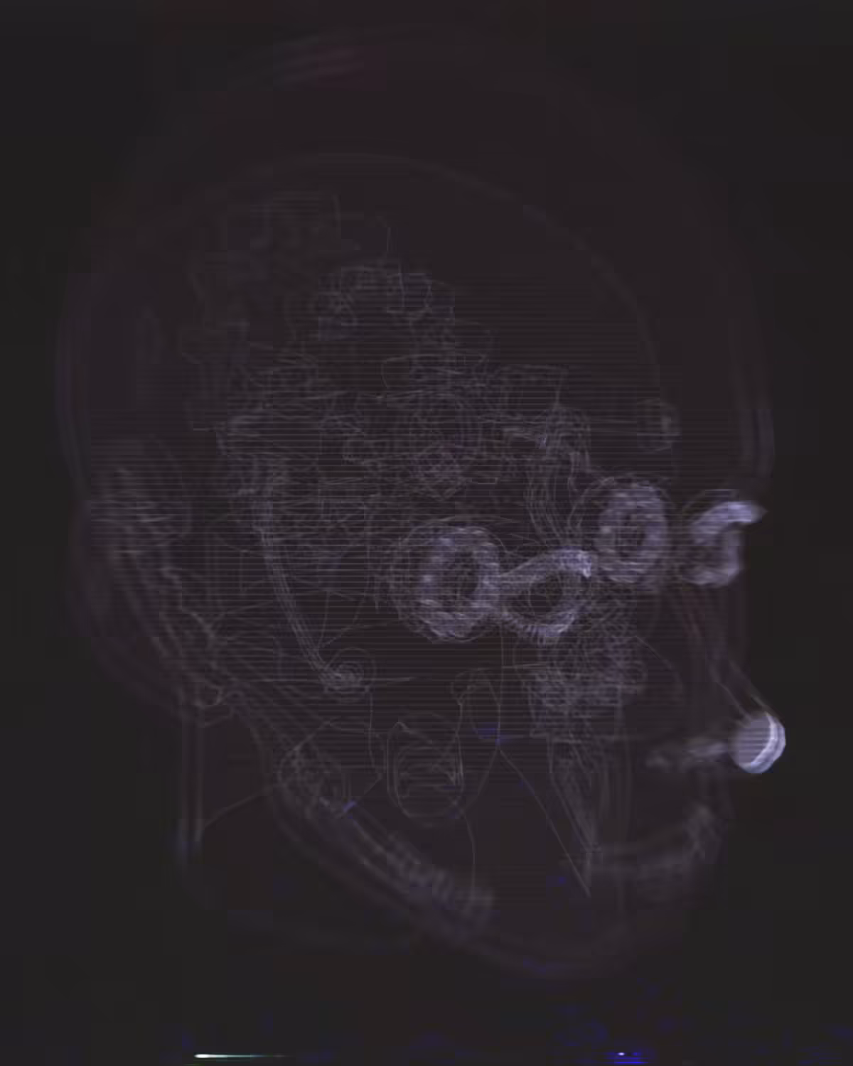 ANIM.TOMOGRAM