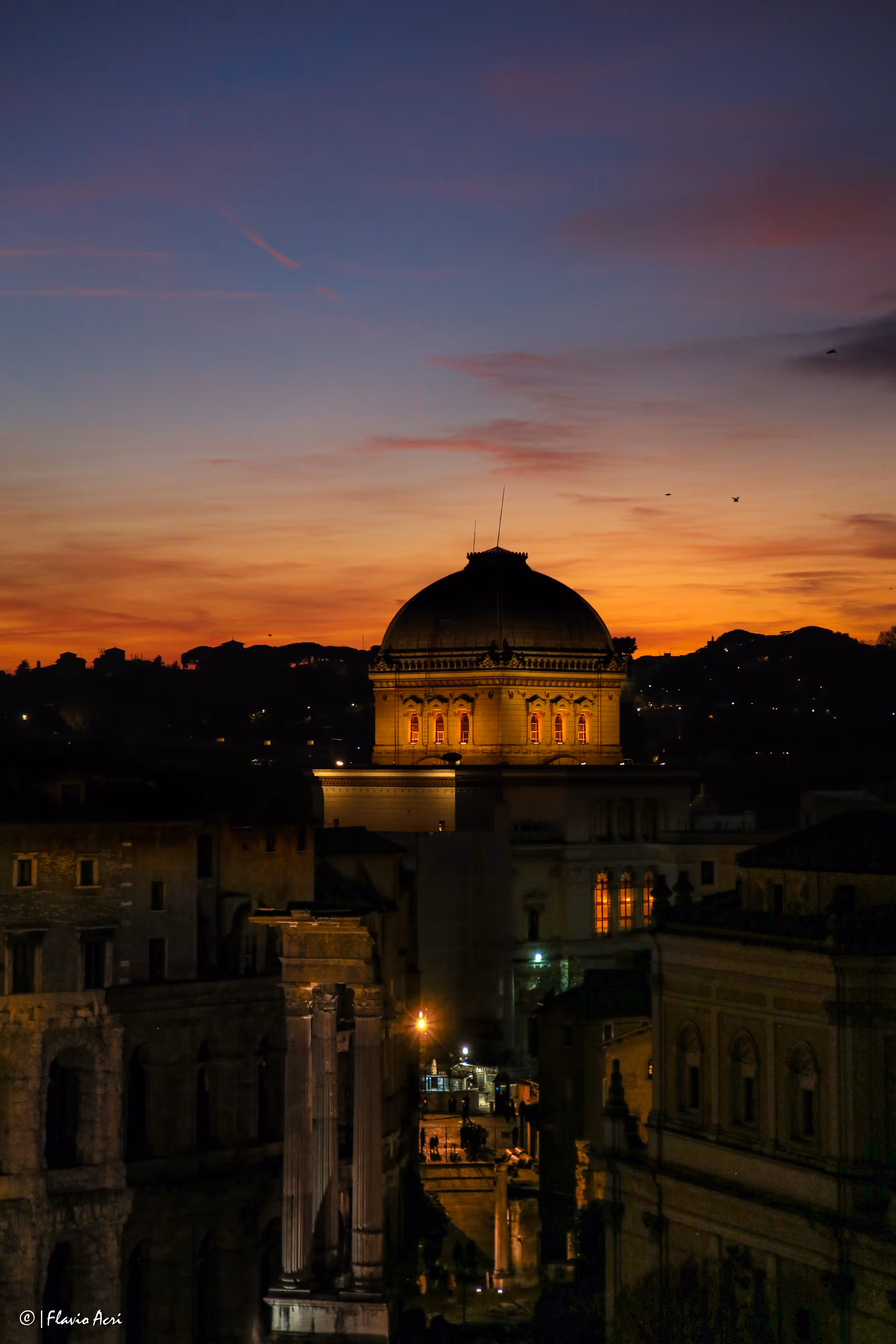 I pini di Roma