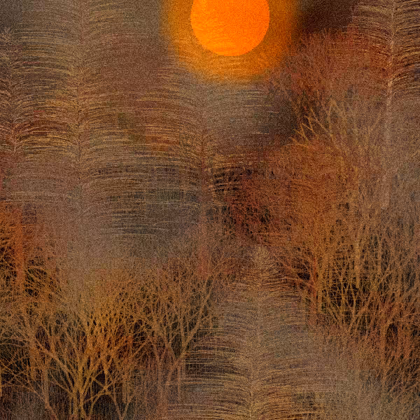 Moonlit Native Bush #101