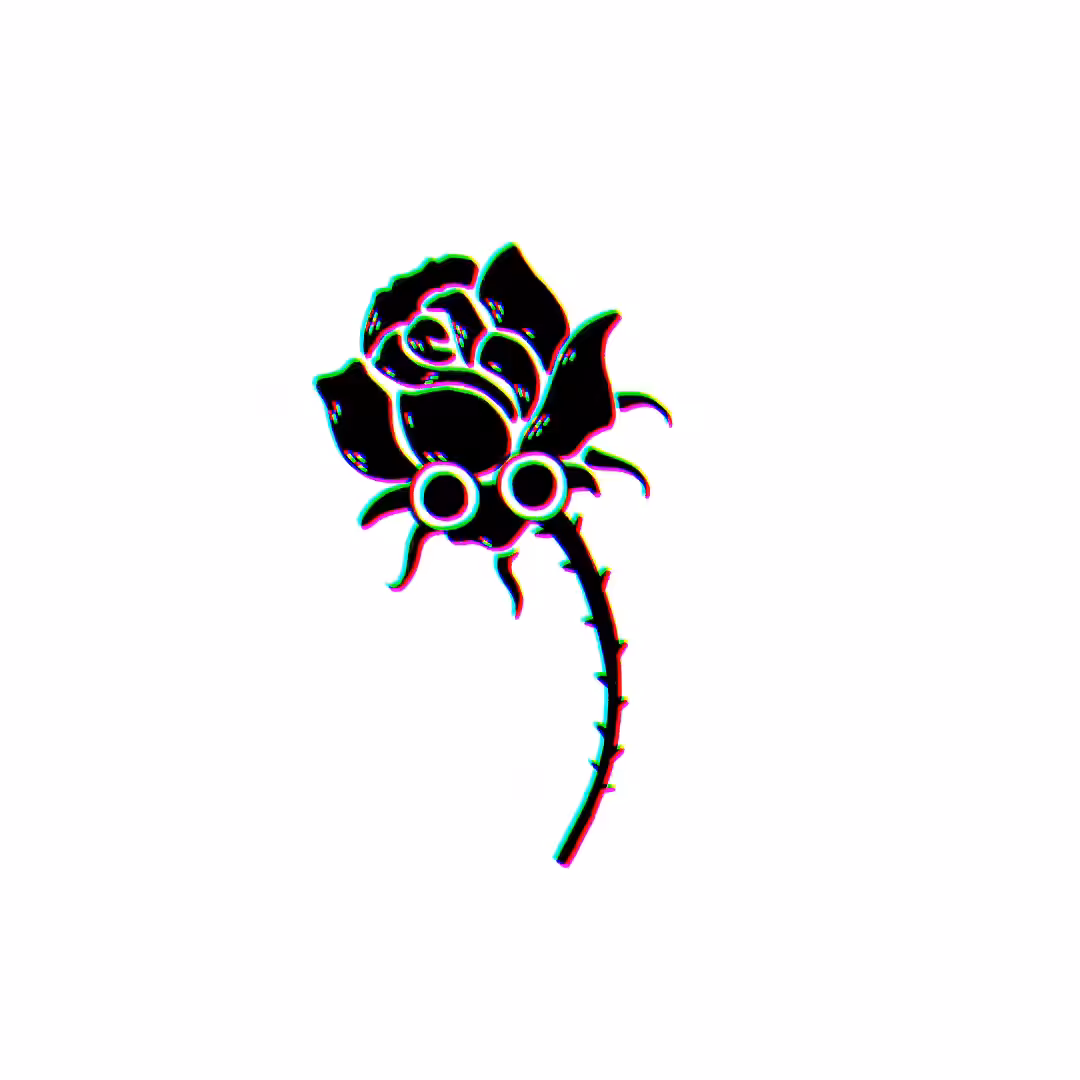 #8 Rose