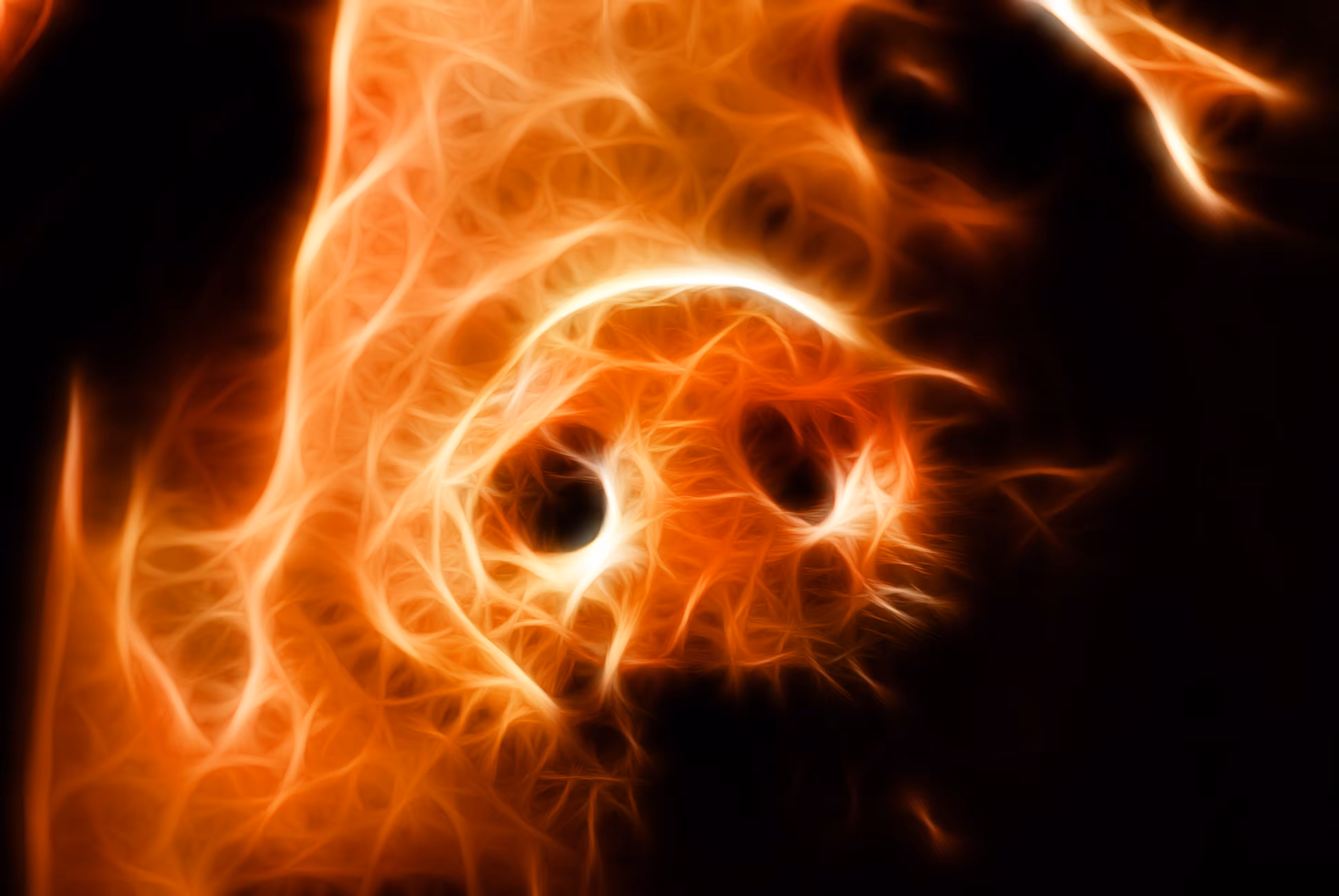 fractal pig