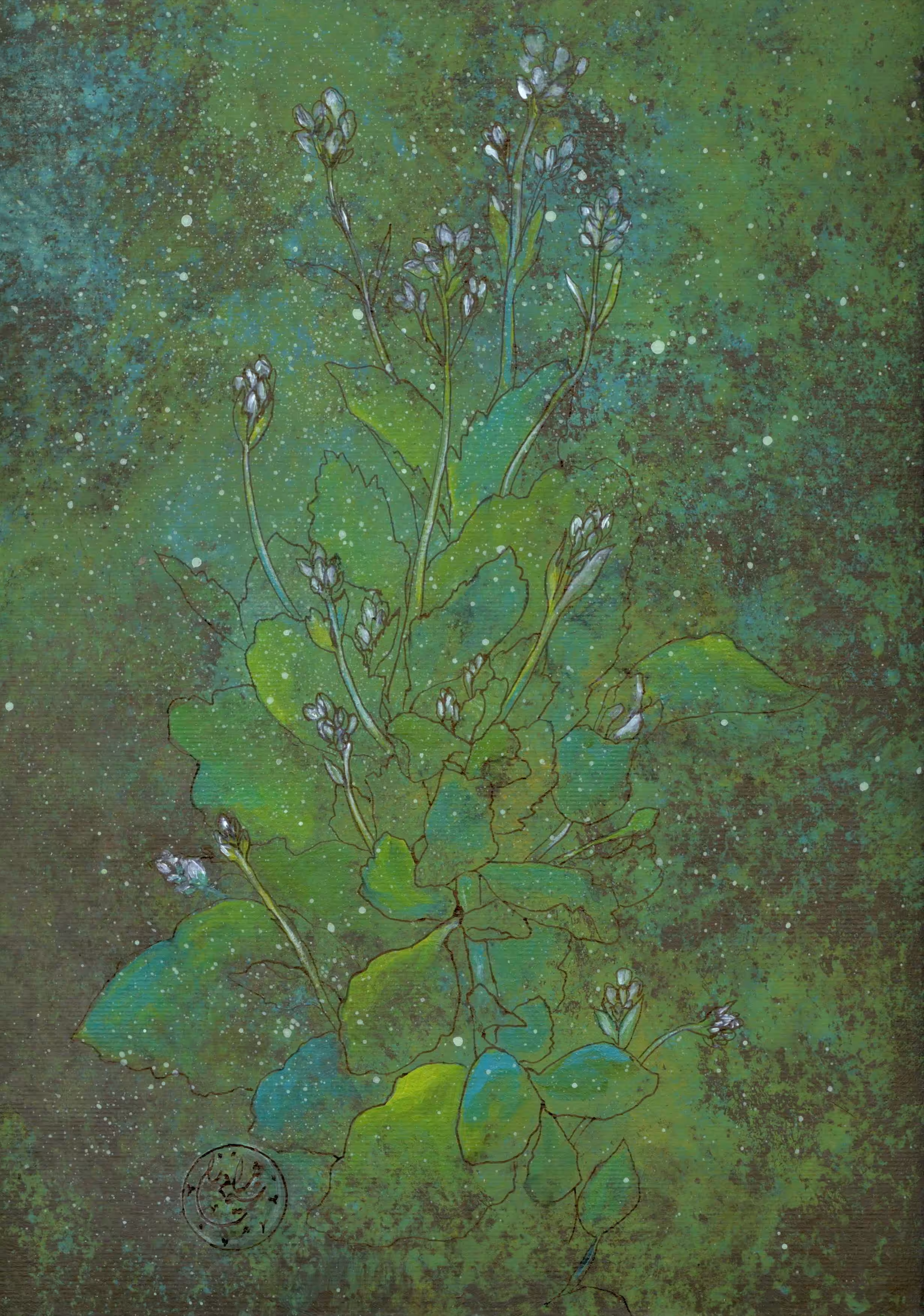 BLOOM…"MAGIC OF NATURE"