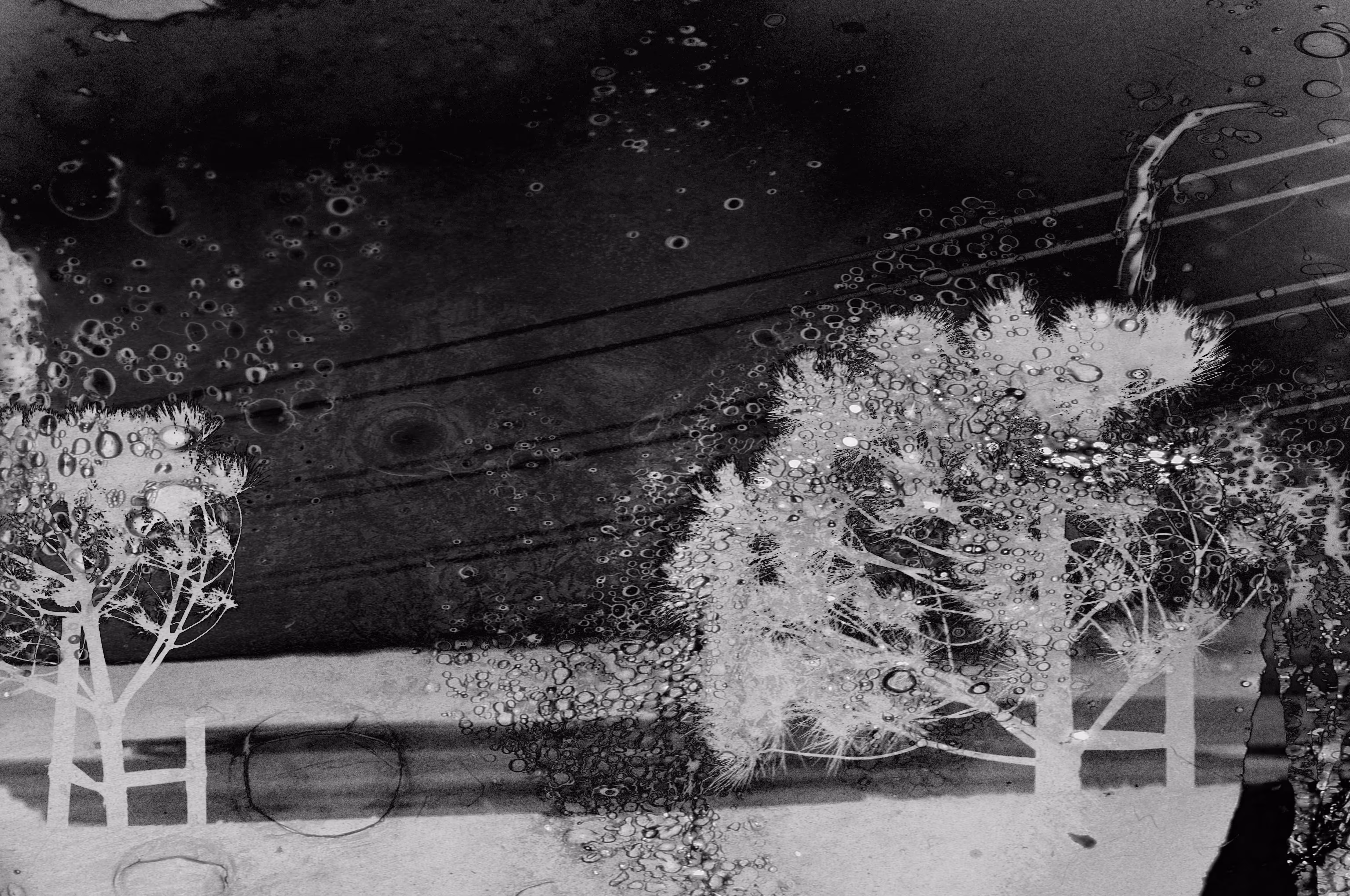 Traces of Time