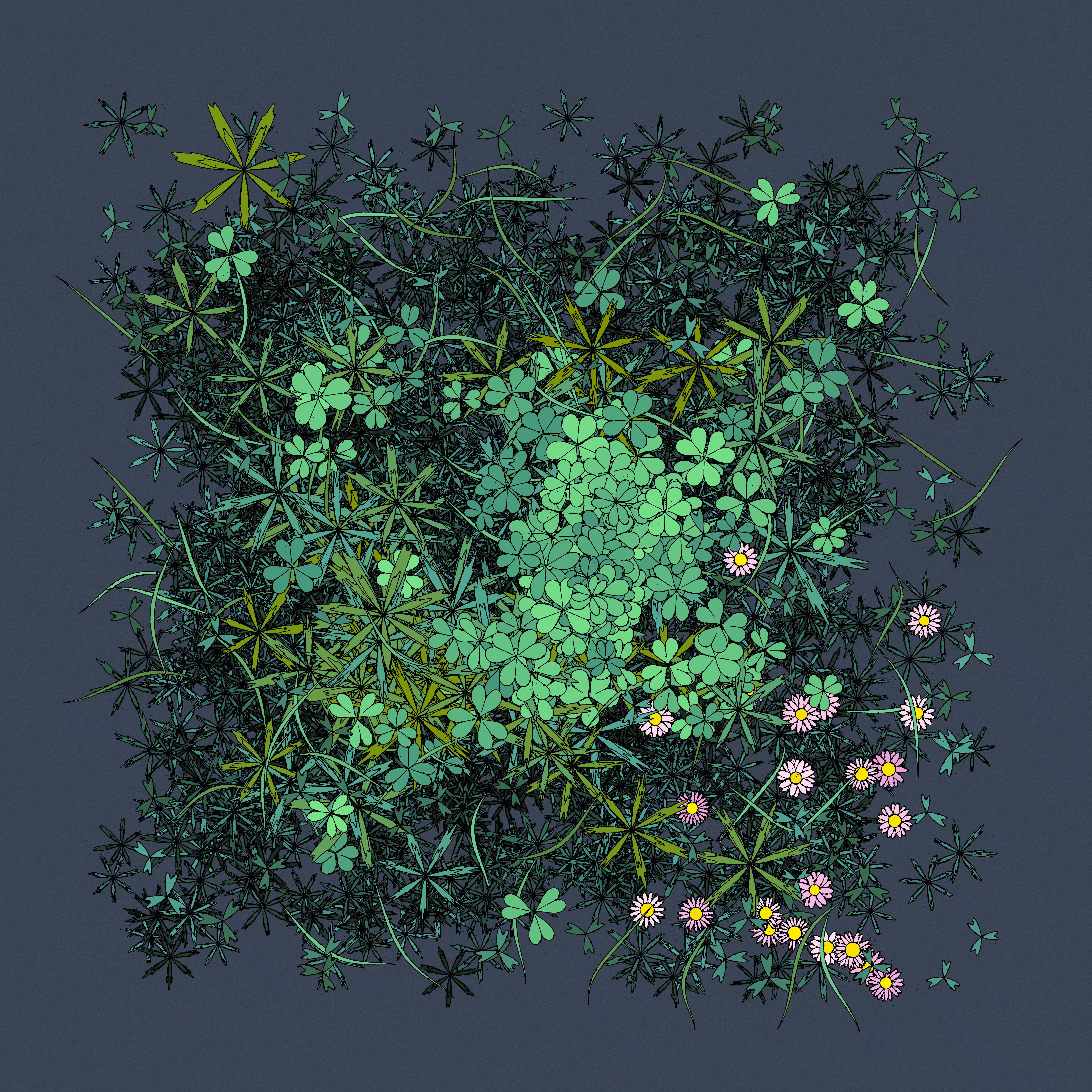 Pink Daisies #12