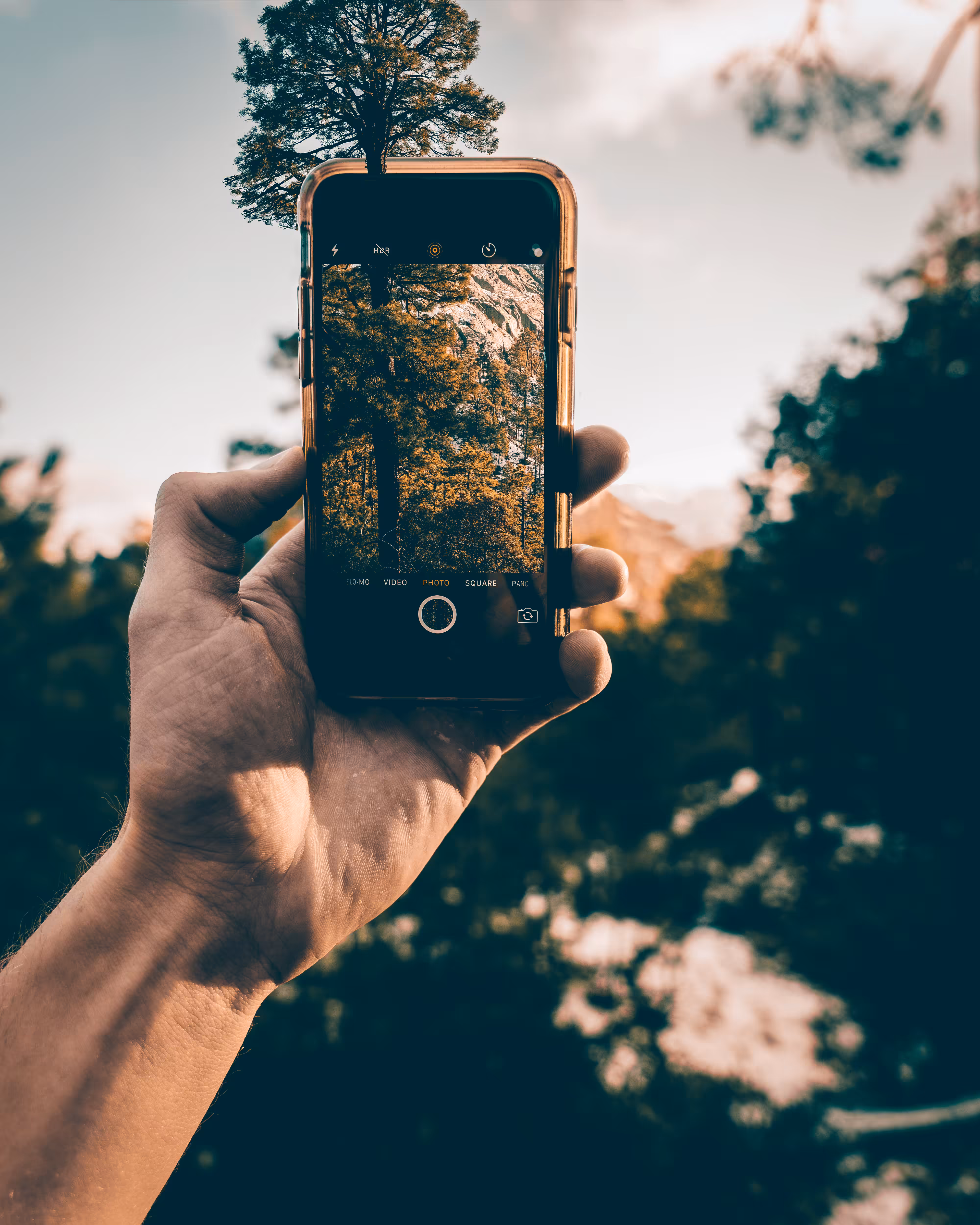 TreePhone