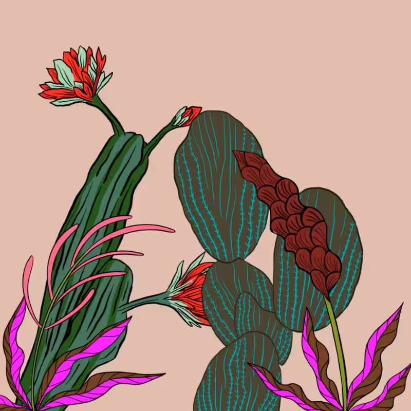 Desert Exuberance #1