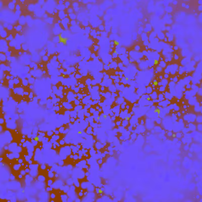 Coalesce #18
