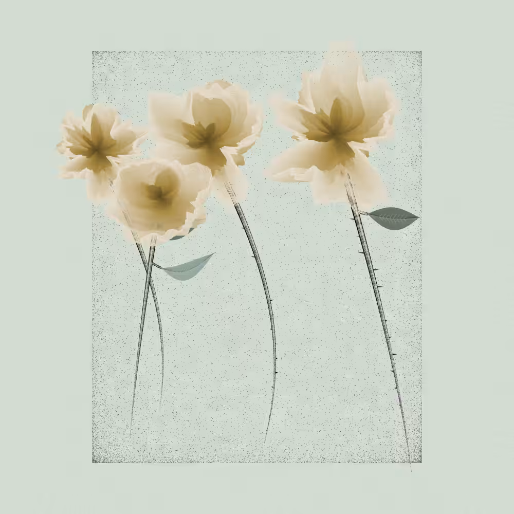 Magnolia #9
