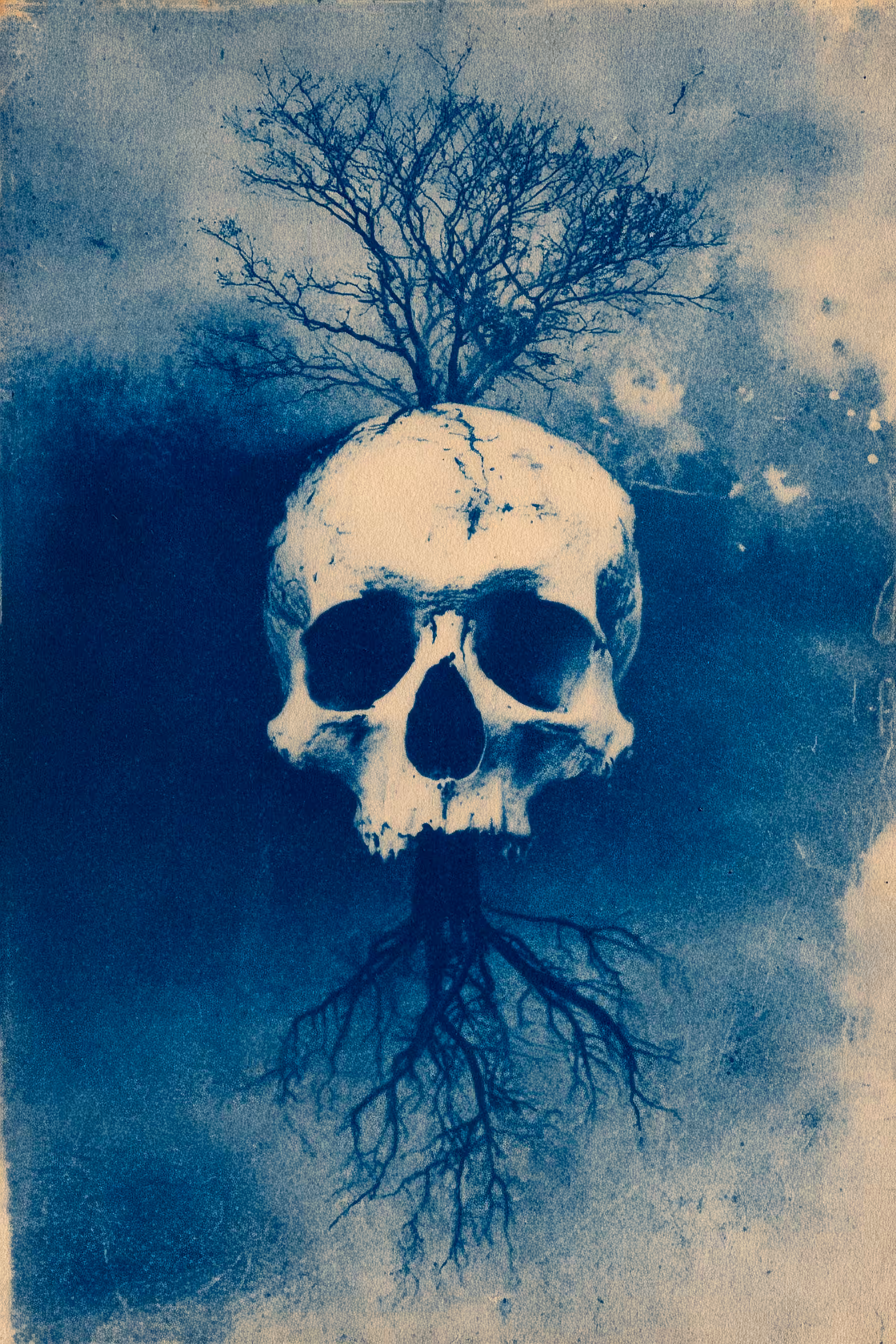 The Hours Before Returning: Where the Roots Remember