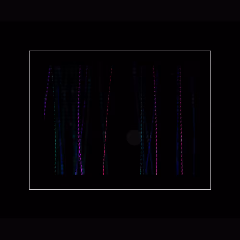 DigiRoots #34
