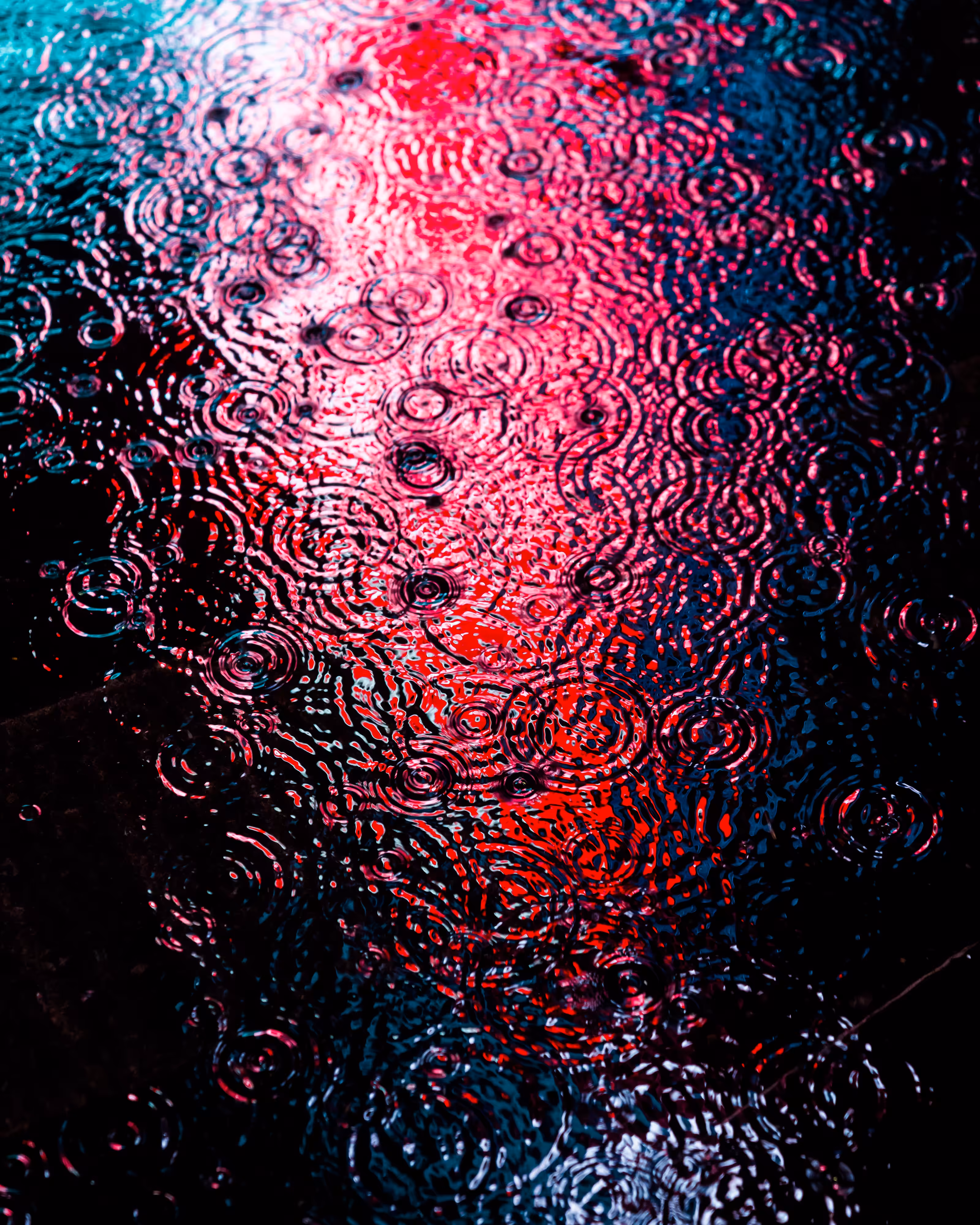 DRIP #205