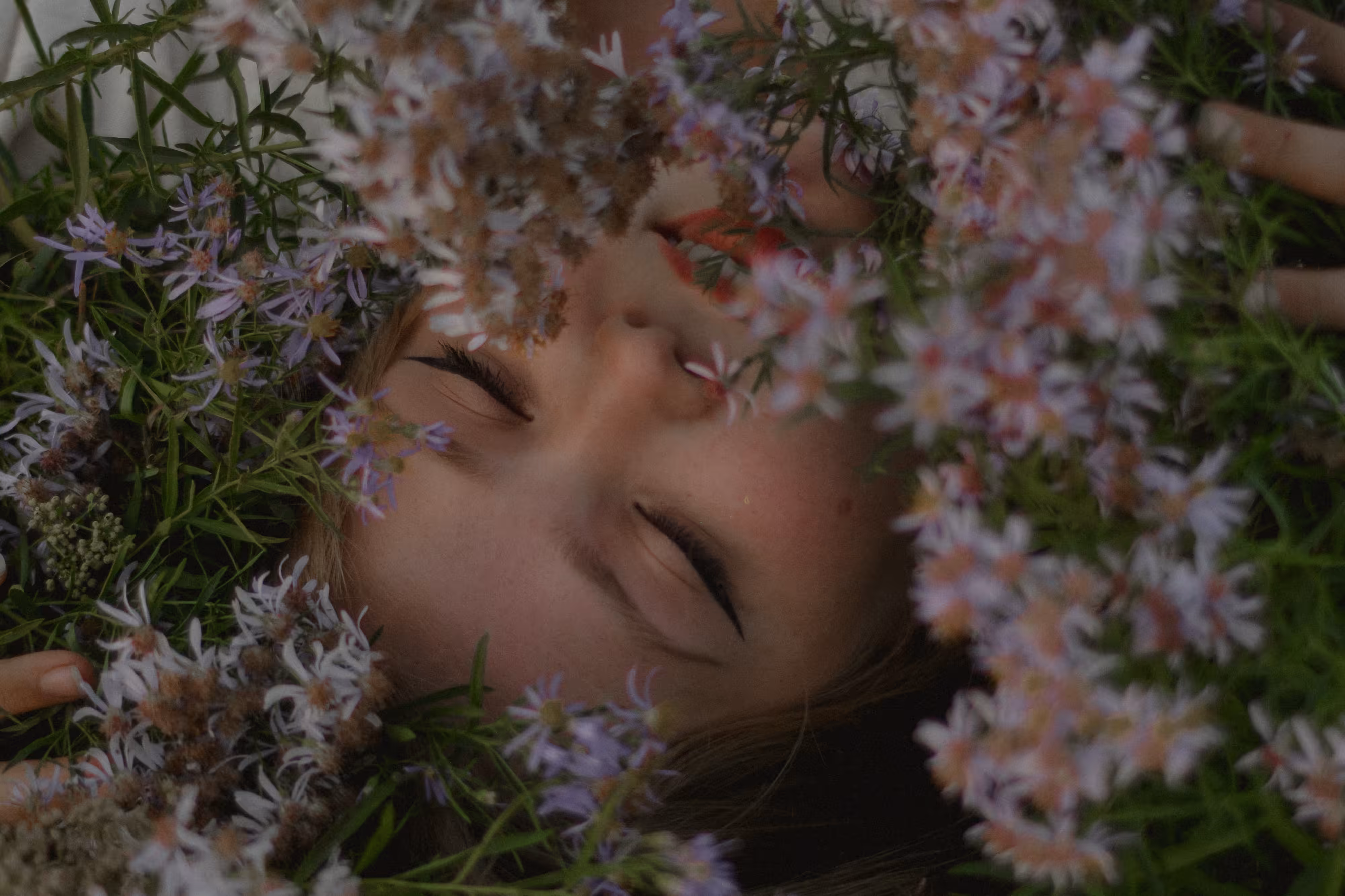 withering bloom