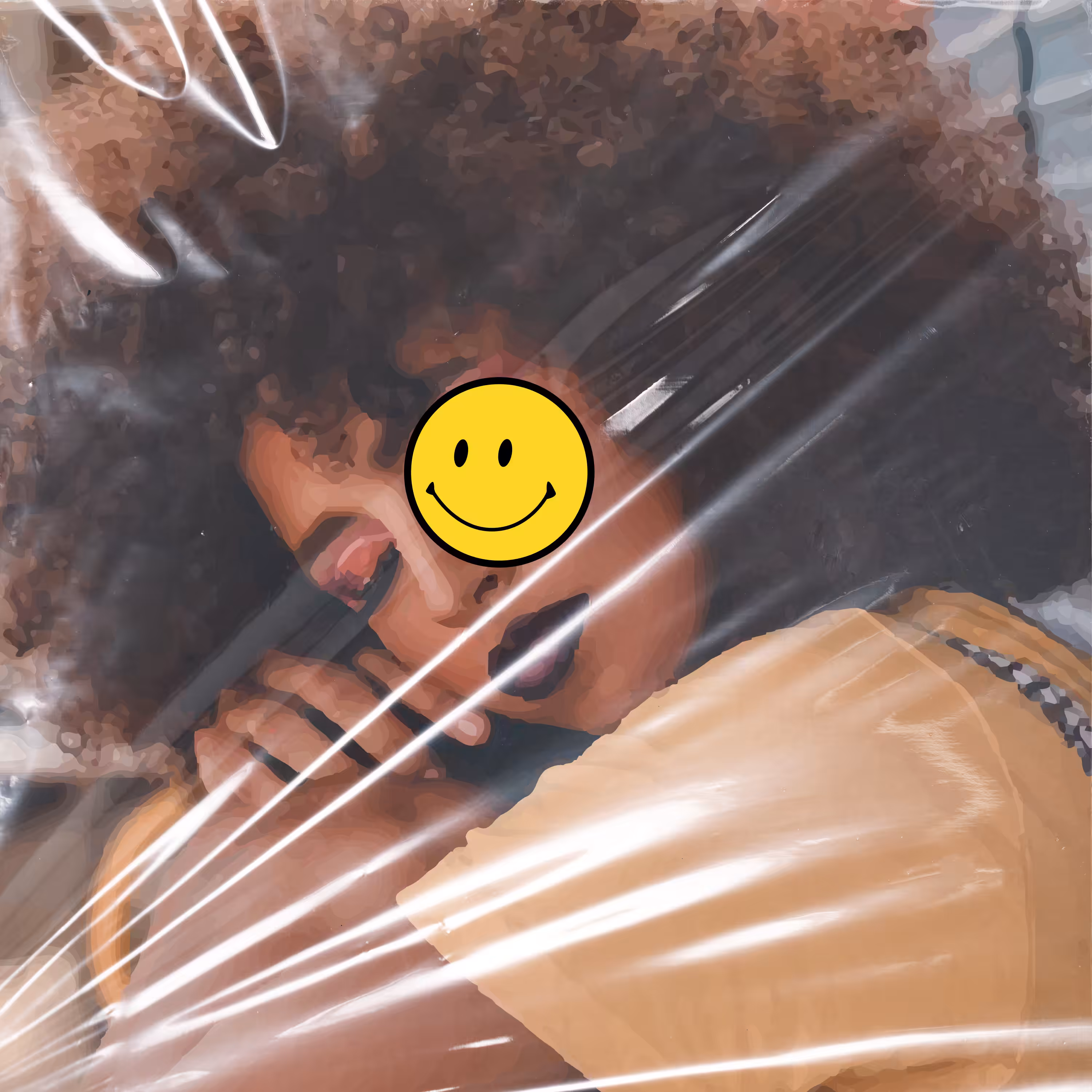 the renaissance of smile, movement no v.