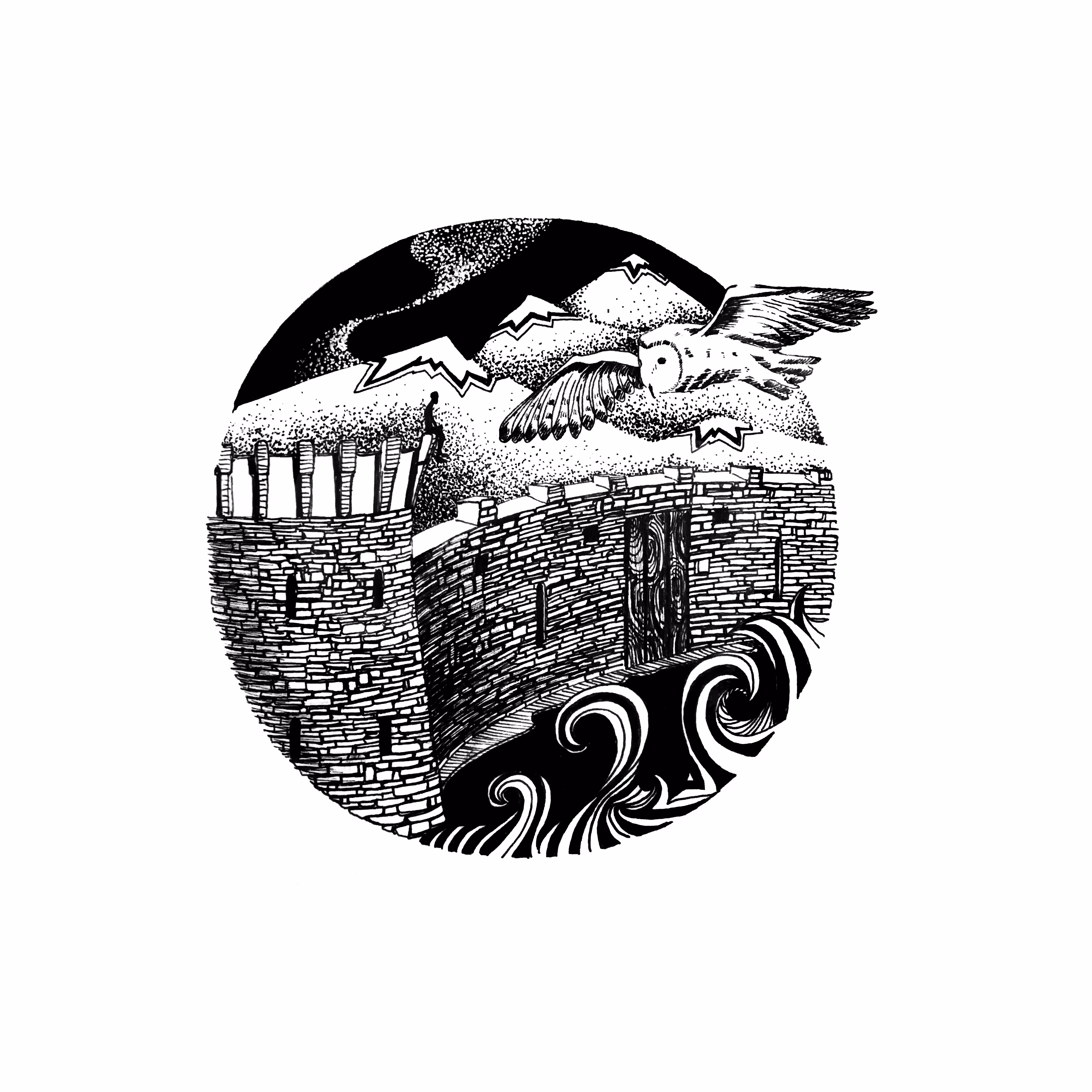 Amazing black and white graphics: Flight of the Owl