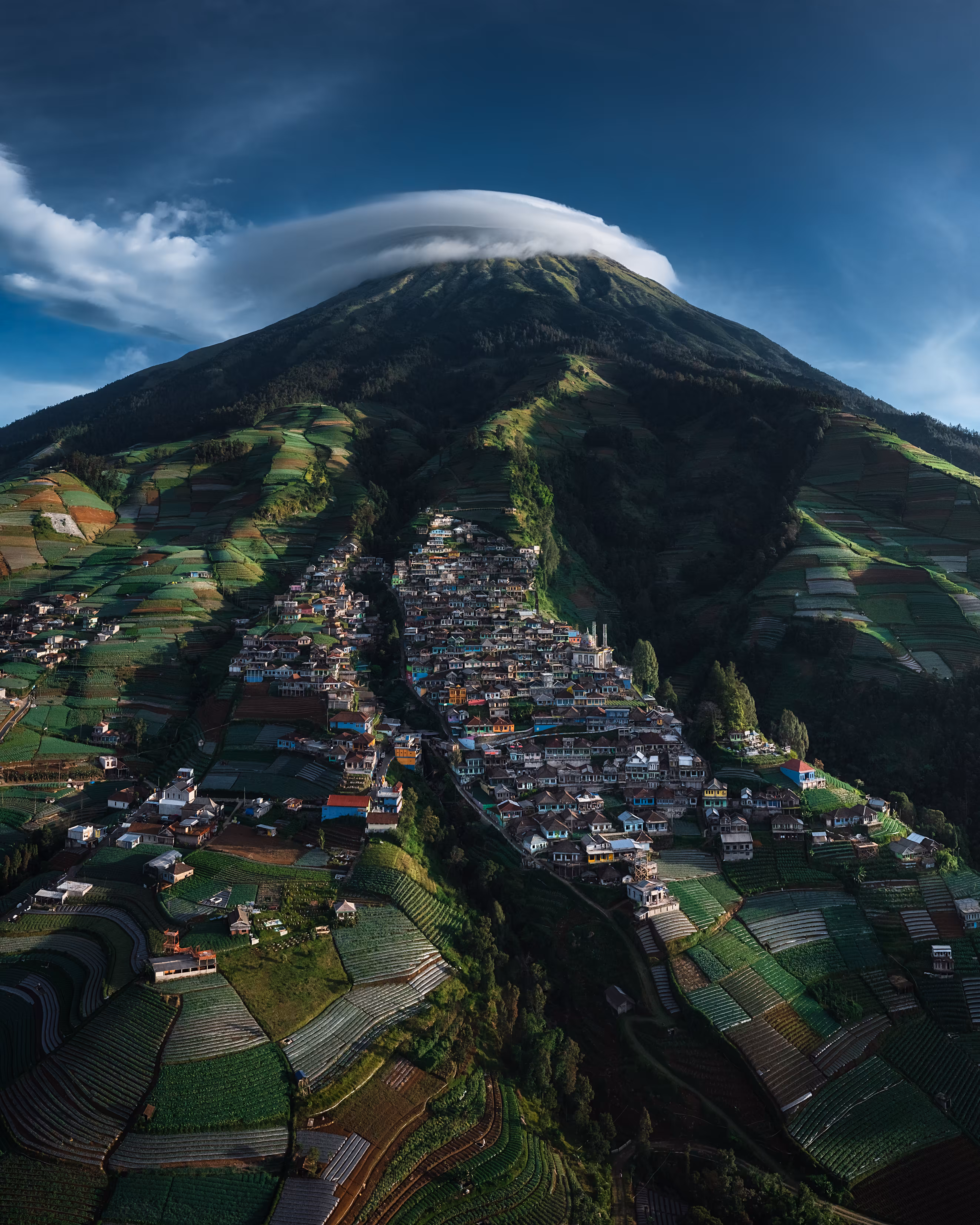 Nepal Van Java