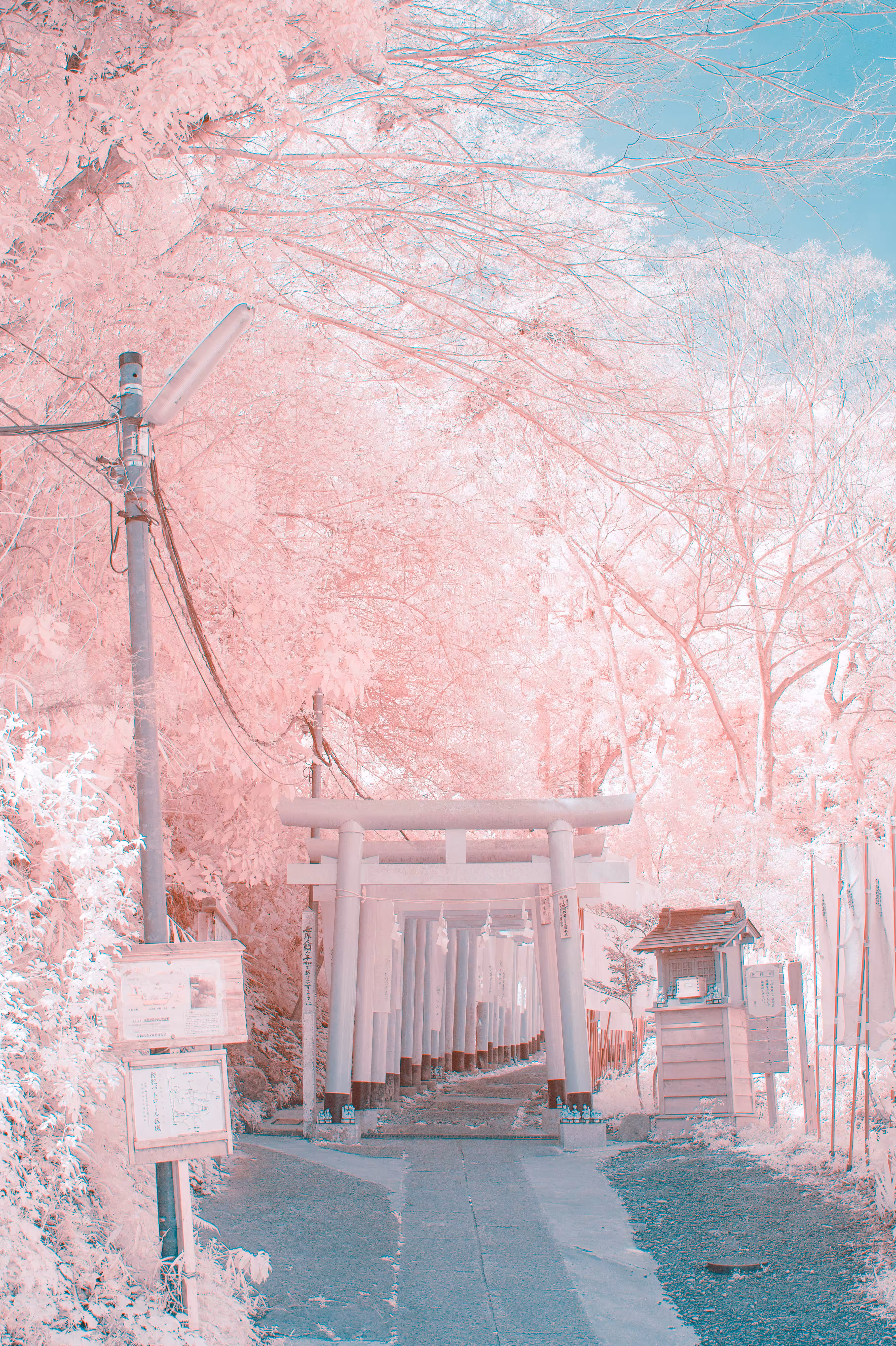 THE GATE #1