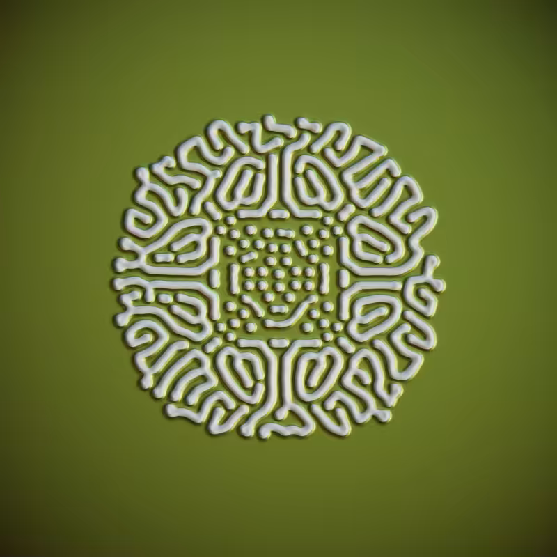 Biomechanika #212
