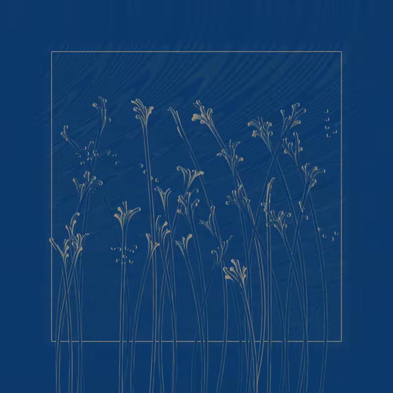 string_pllu #66