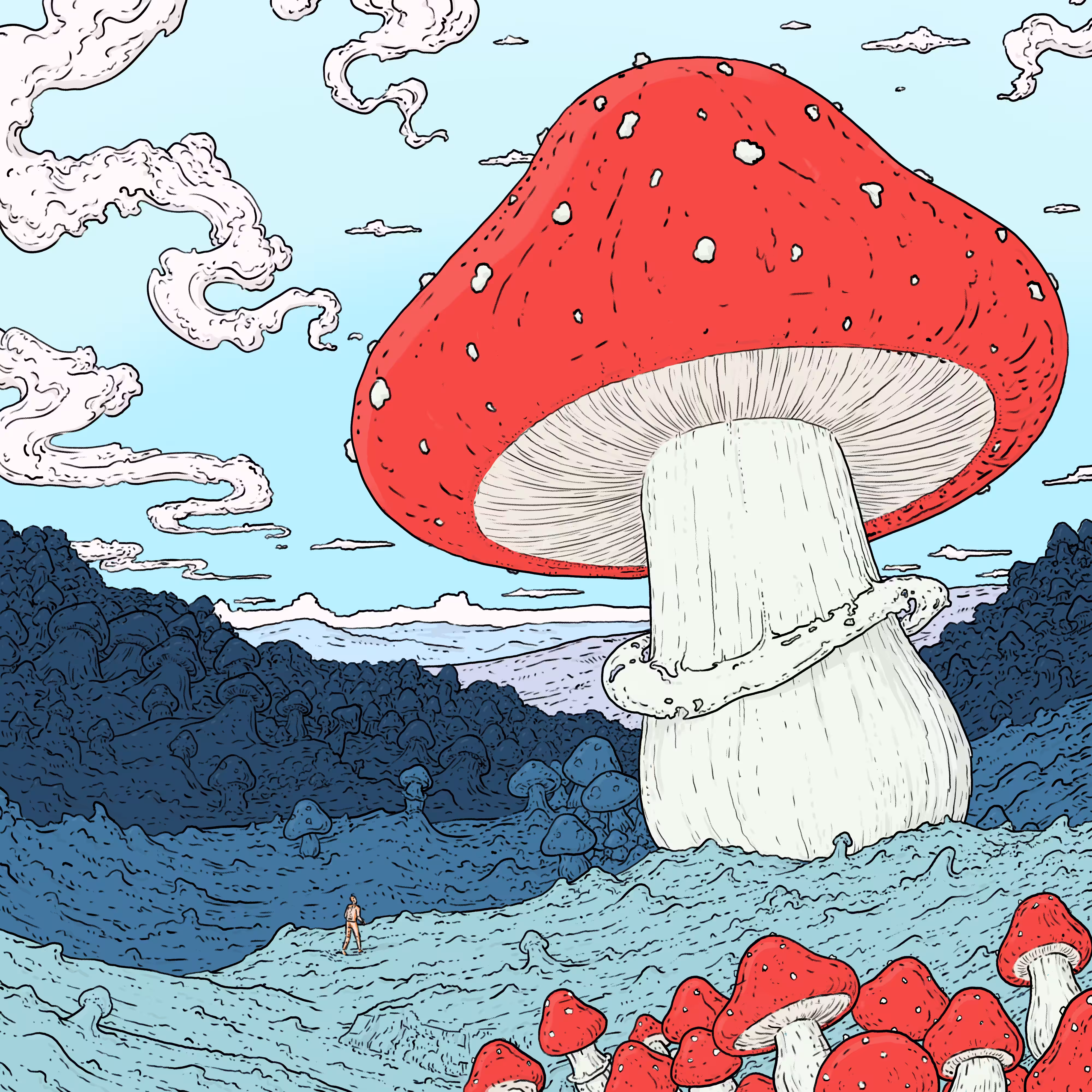 Amanita 