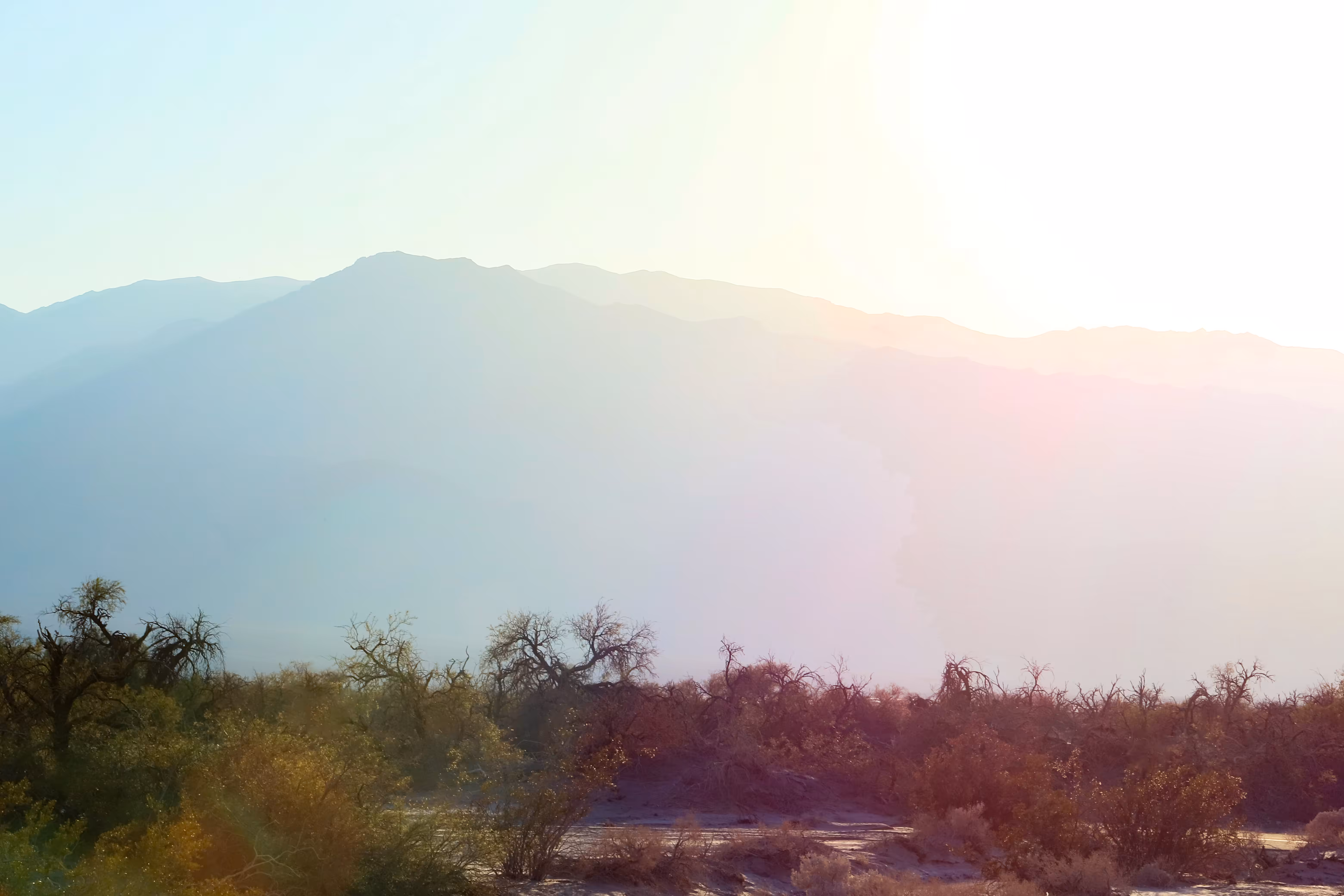 Sun Light #1