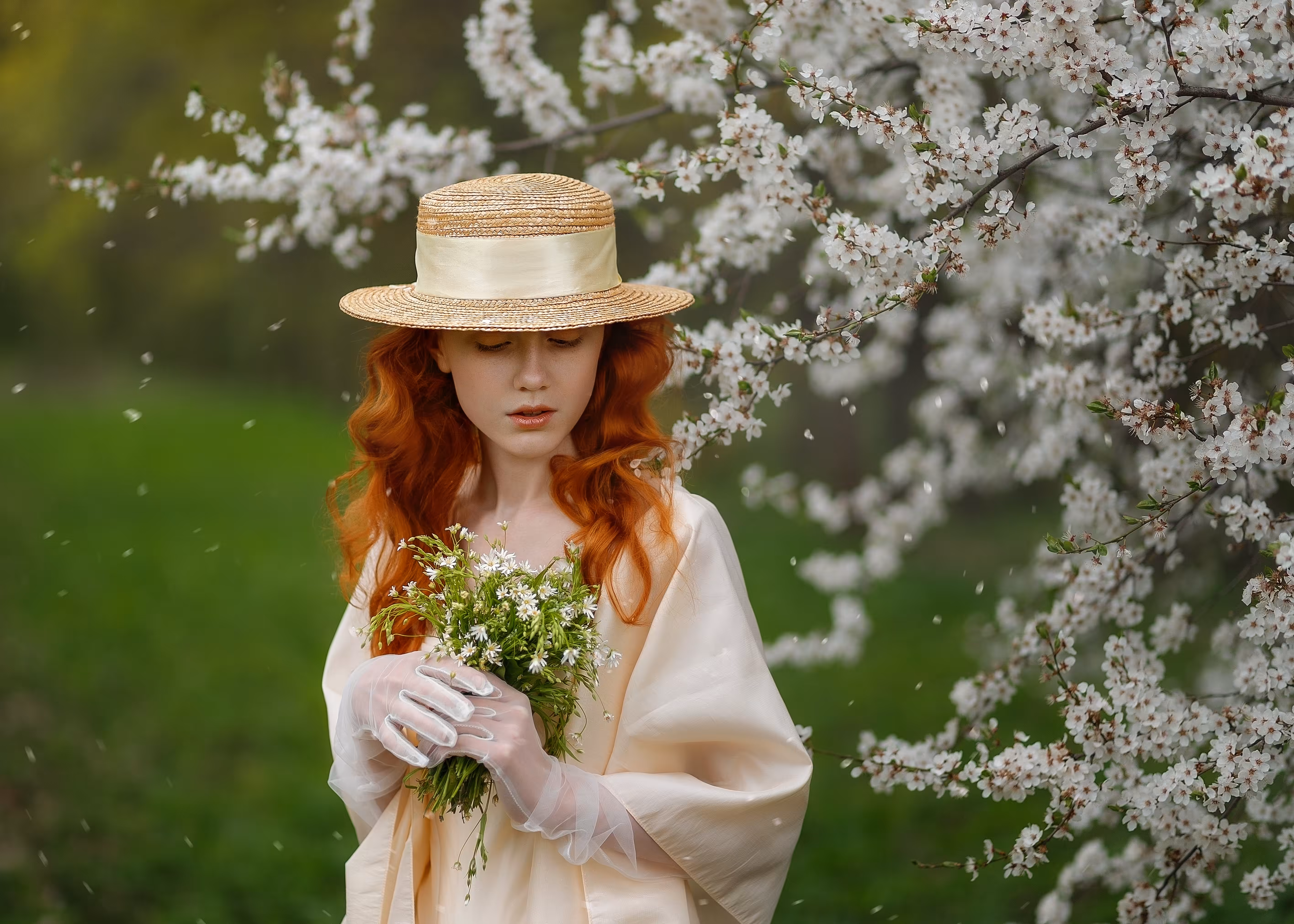 Spring wind
