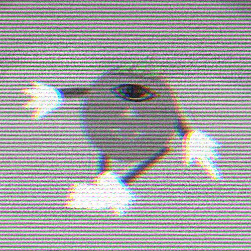 fren 60