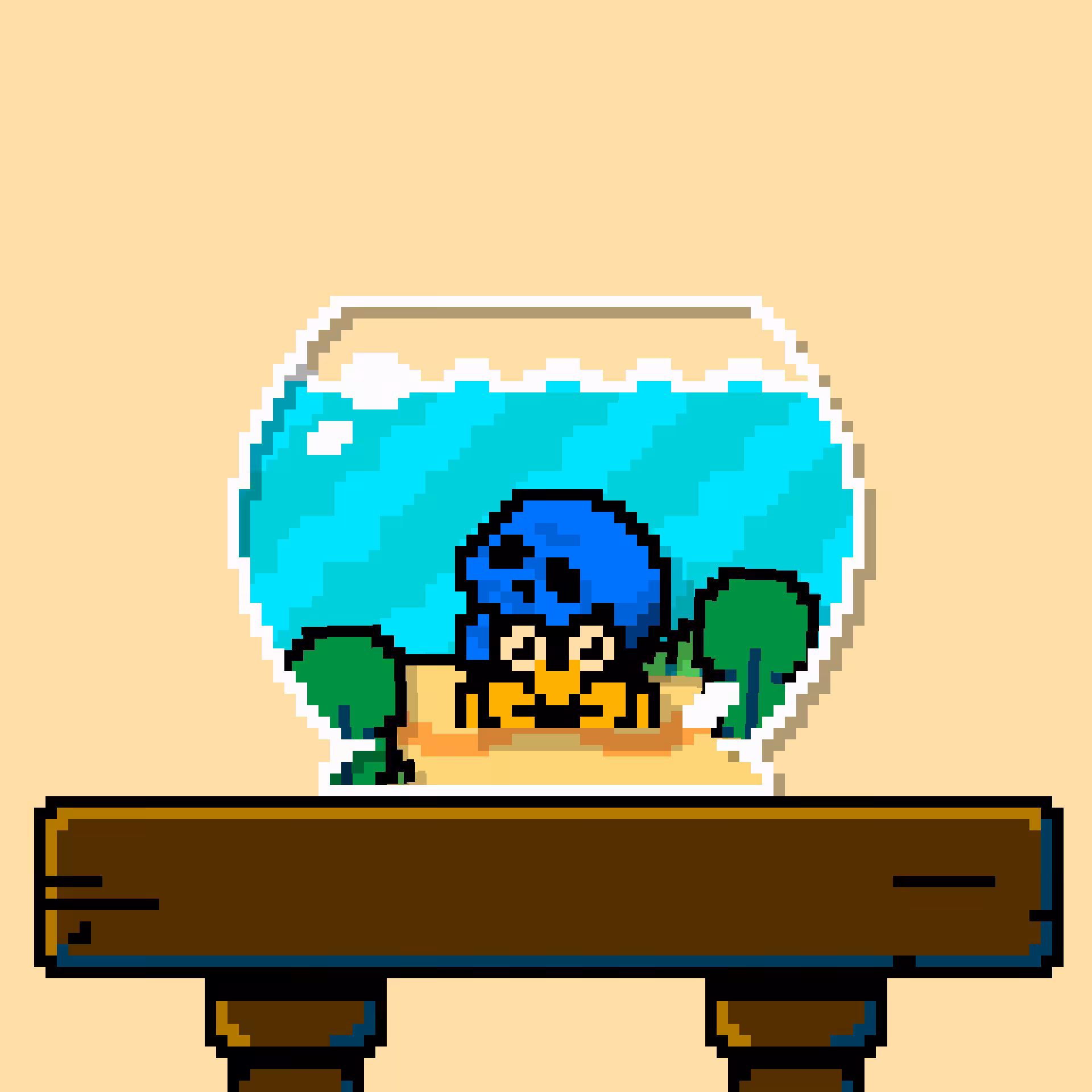hermit crab #44