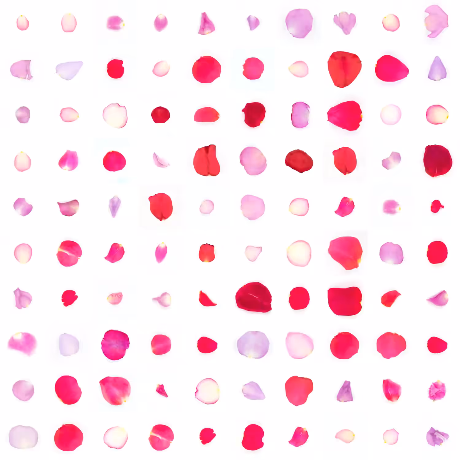 Infinite Petals 10x10#2790