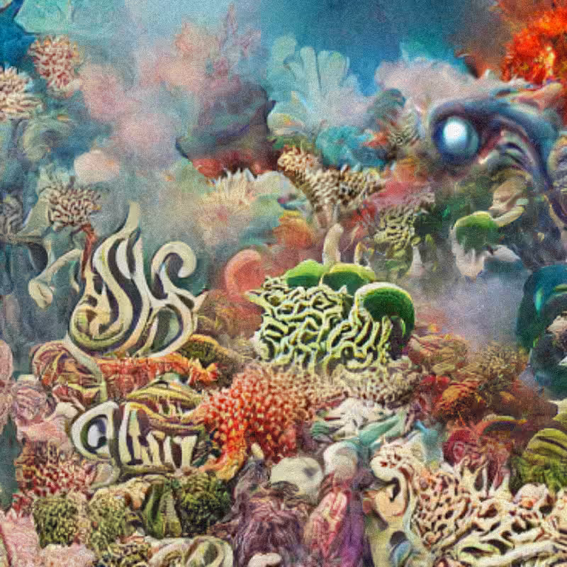 Reefs on Rewind #31
