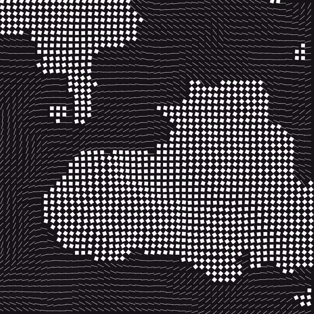 Geometric Fluidity #896