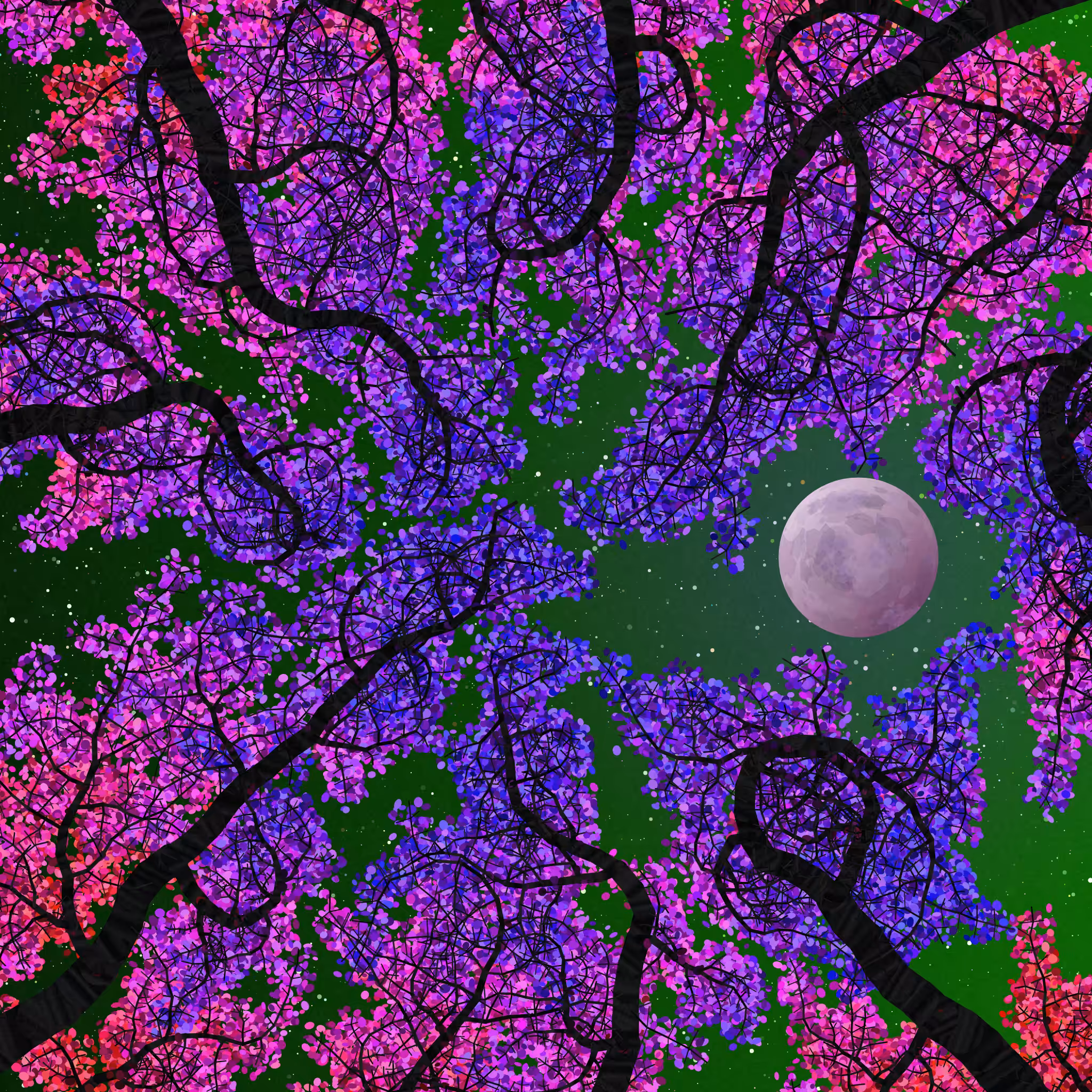 Tree Skyness #65