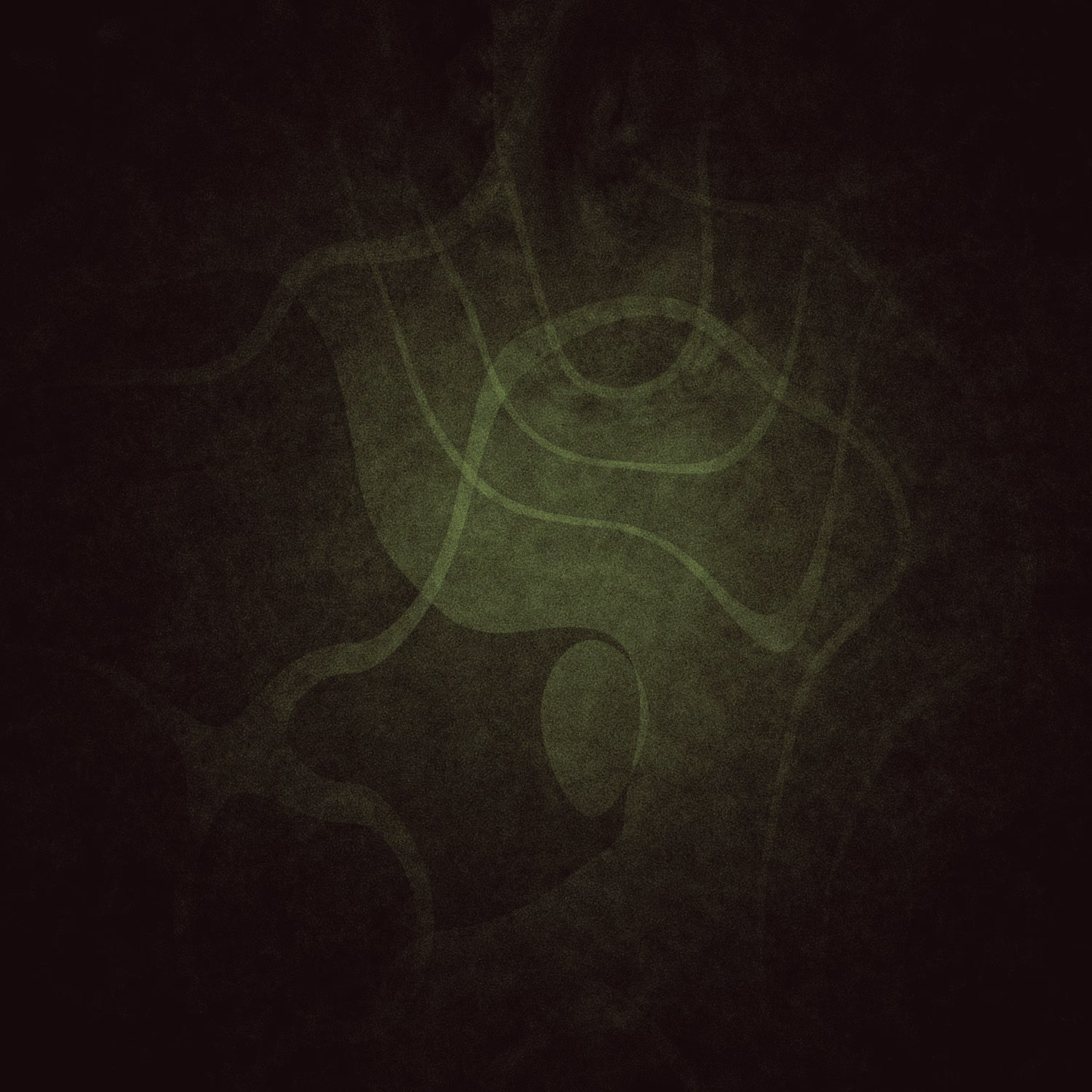 Beyond Dichotomy  #14