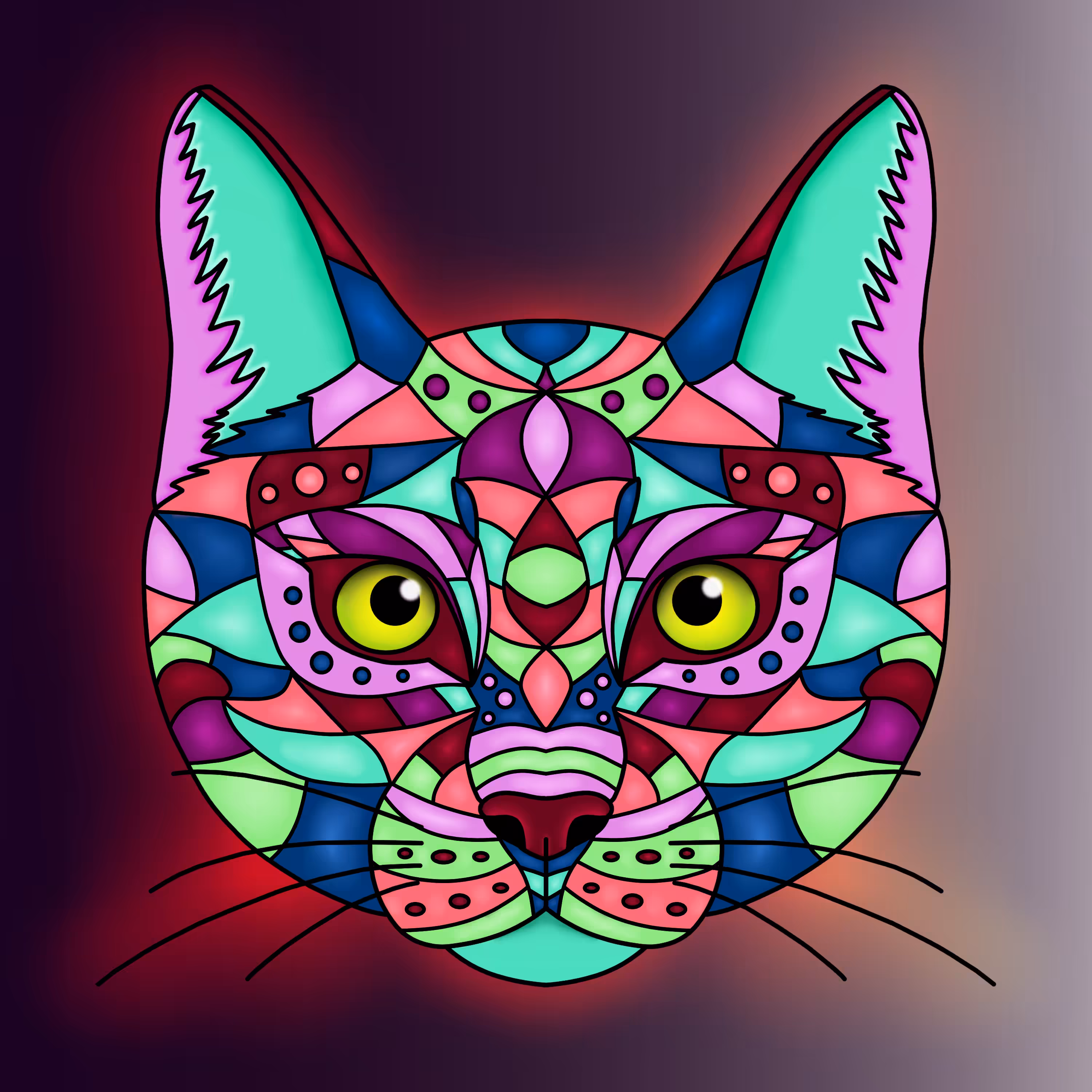Colorful Cat