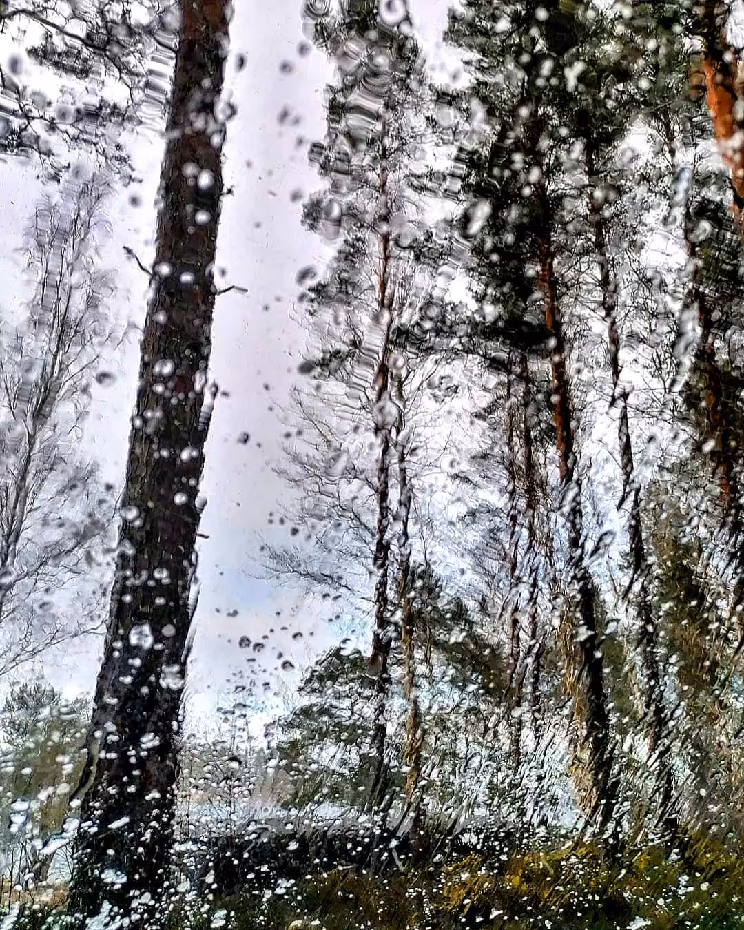 Rain painting : Rain Painting #0002