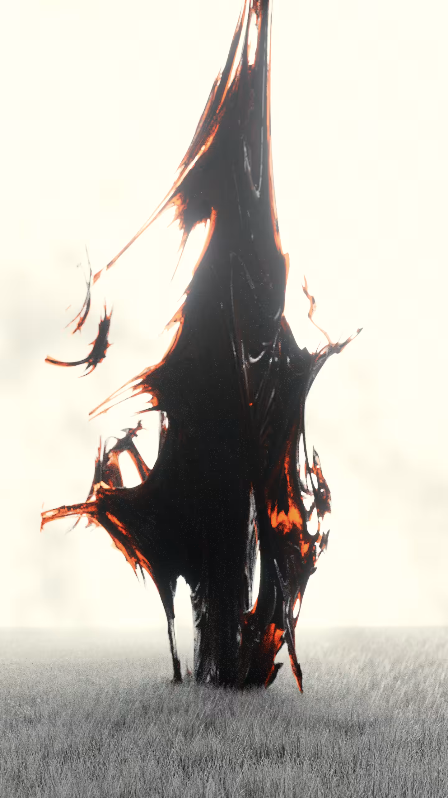 Reflections 2\4