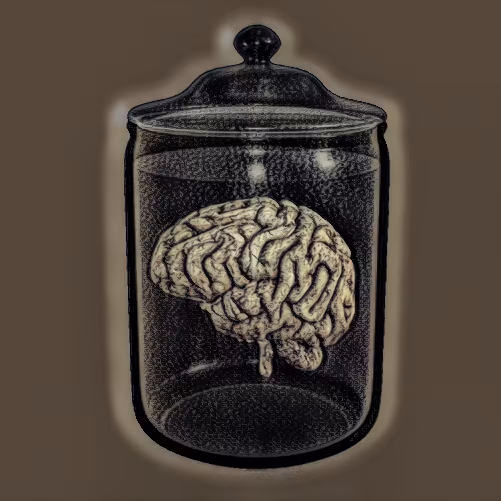 Sketch Brain