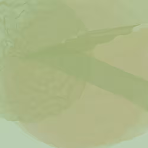 Lillypads #90