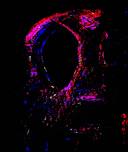 digital: Disengaged