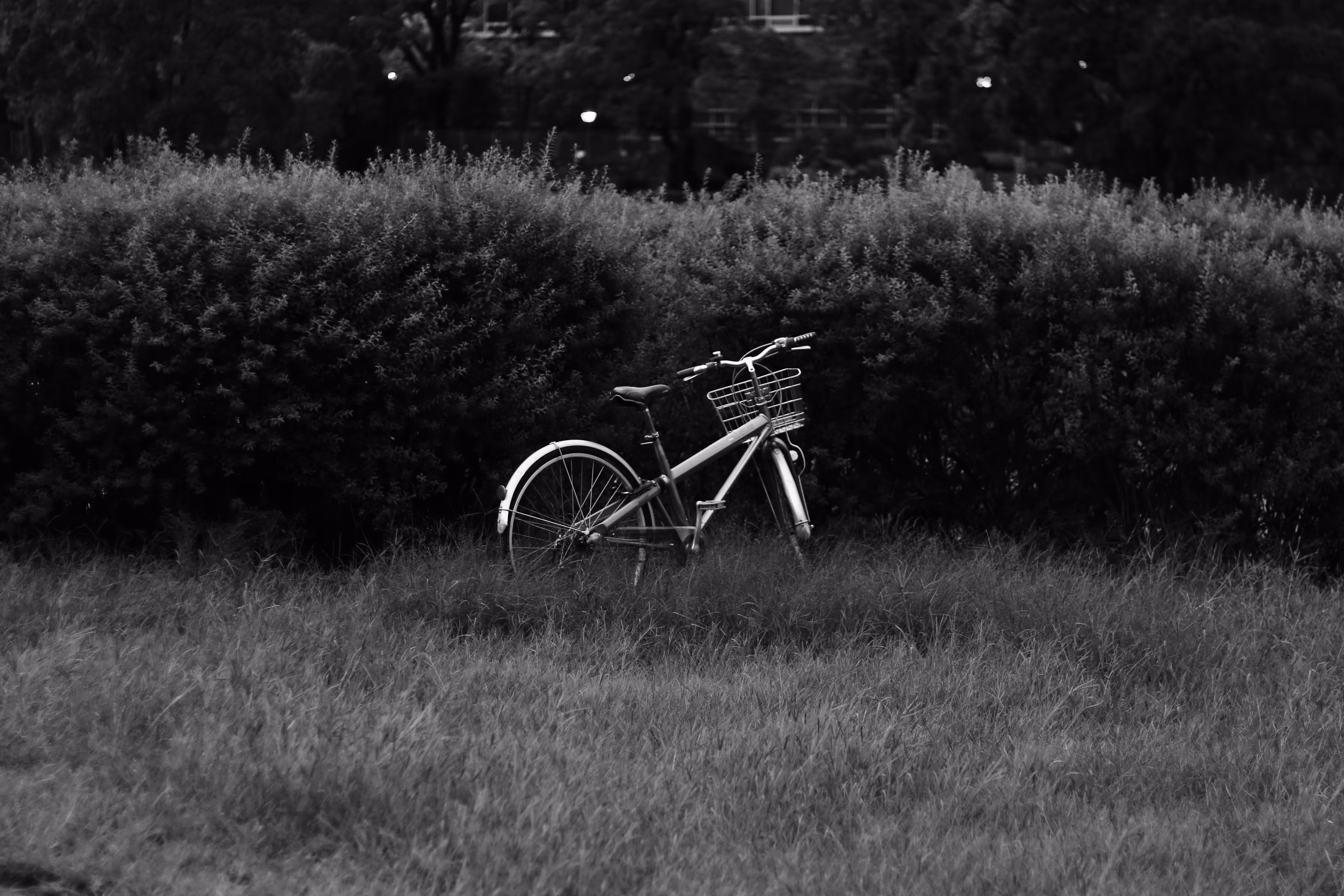 white bicycle 