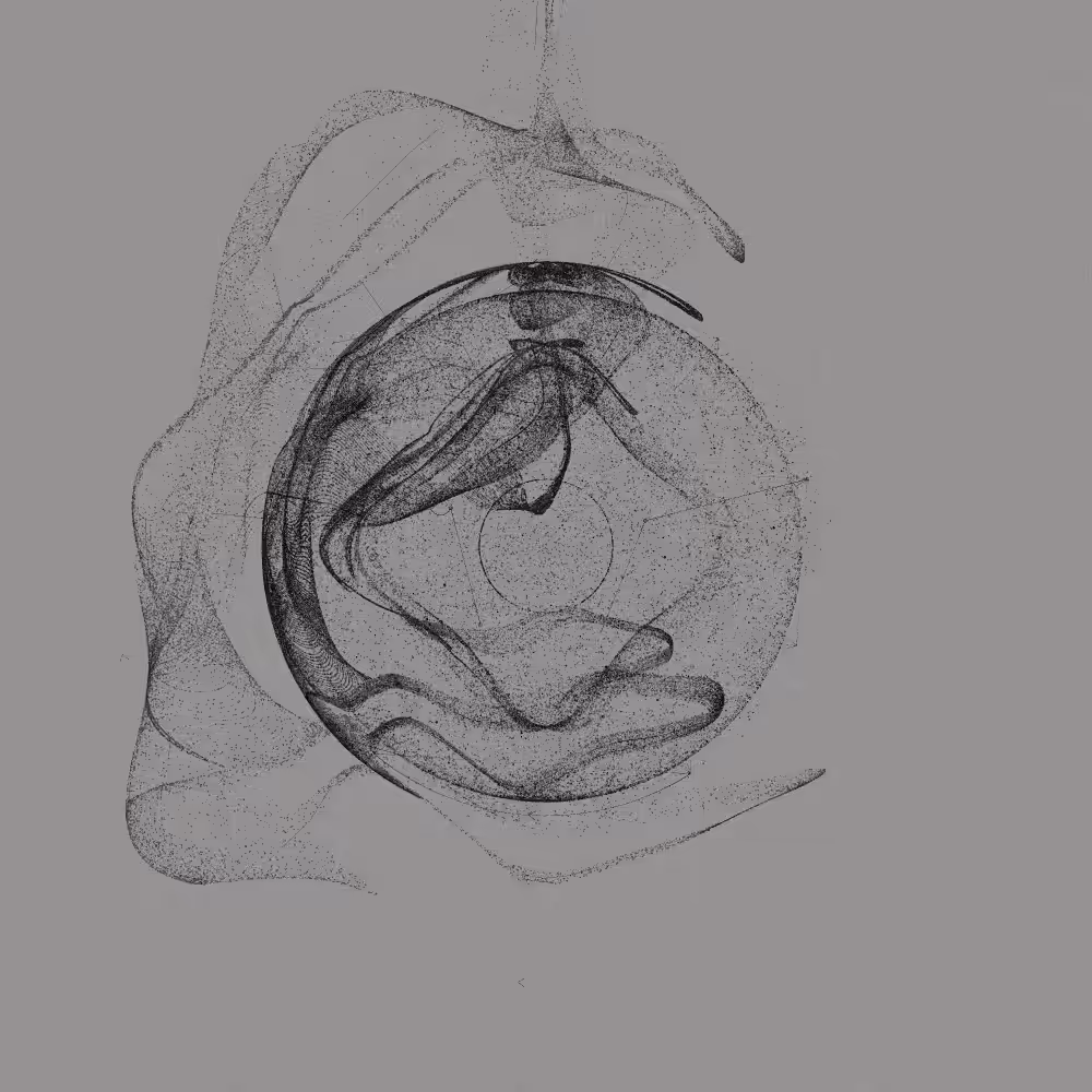 Entangled #62