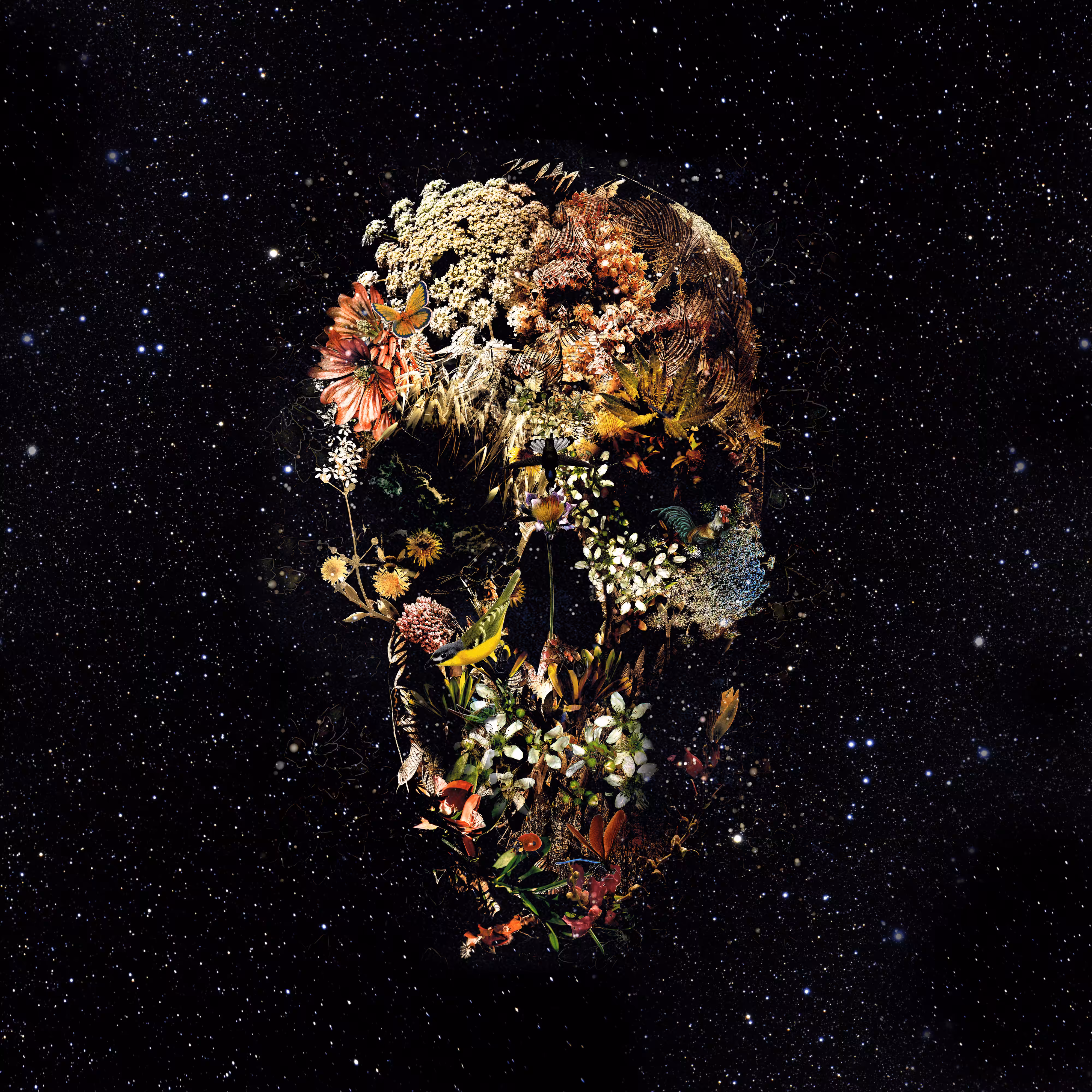 Smyrna Skull